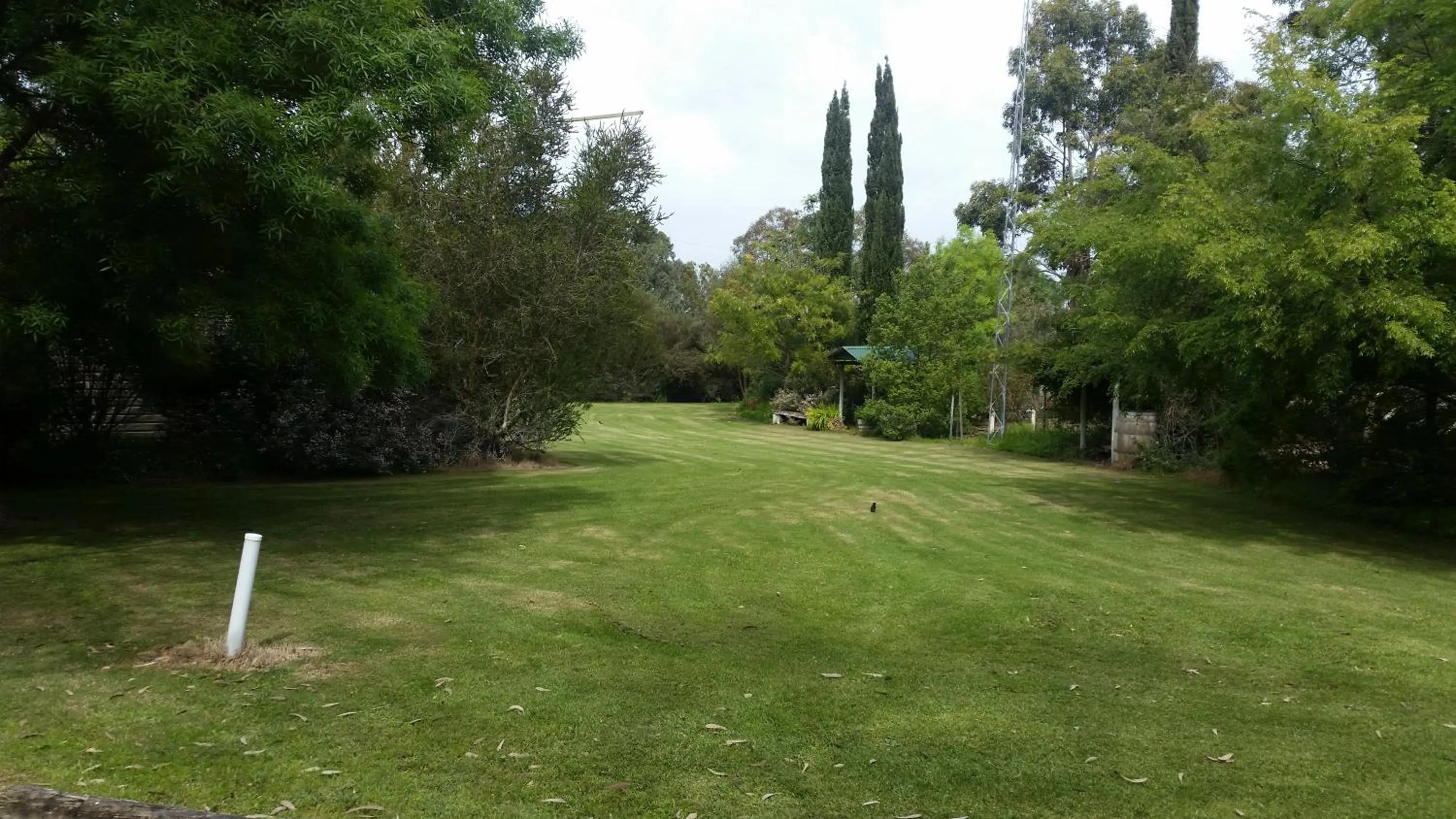Garden in Padthaway Caravan Park