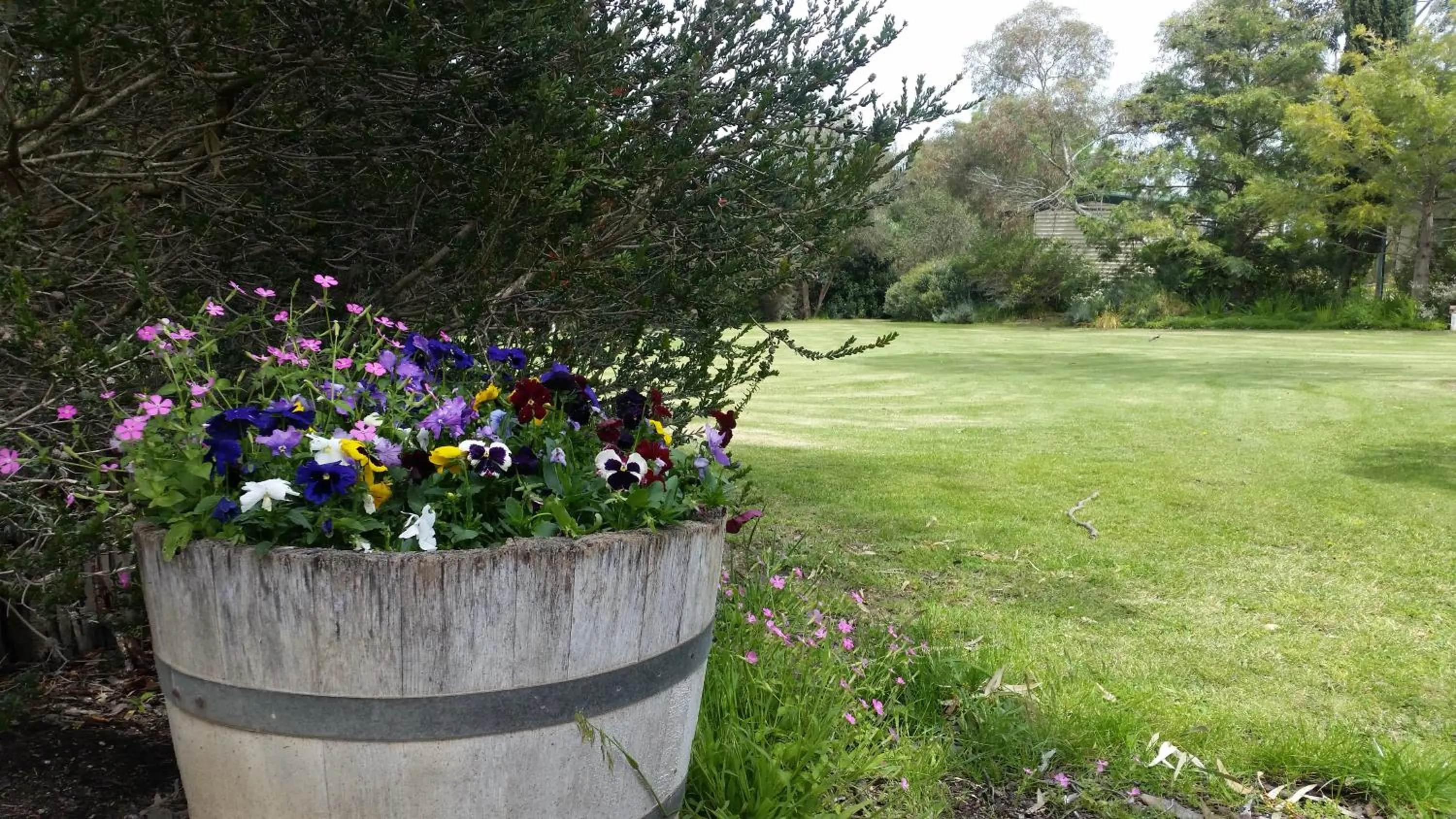 Garden in Padthaway Caravan Park