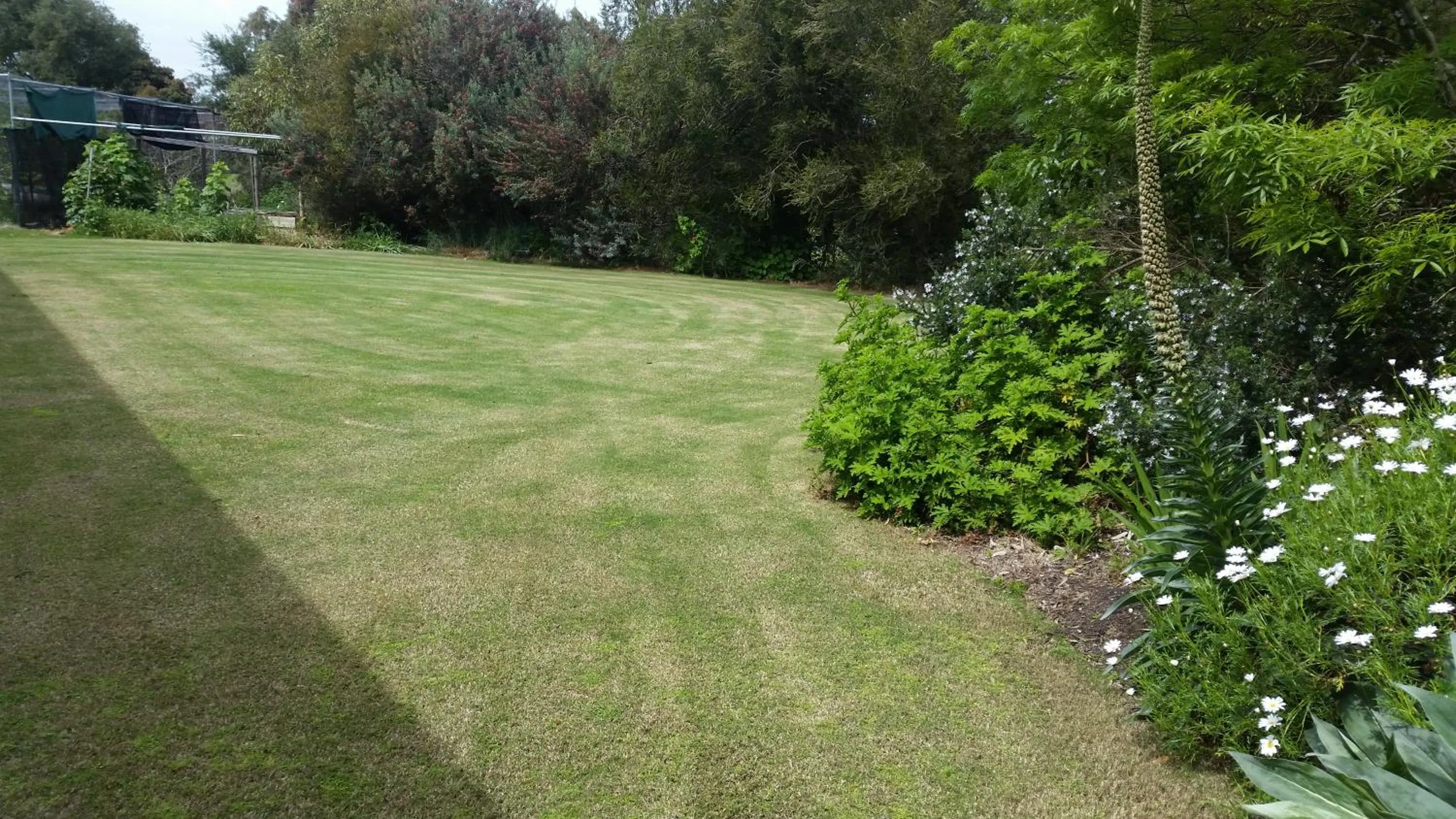 Area and facilities in Padthaway Caravan Park