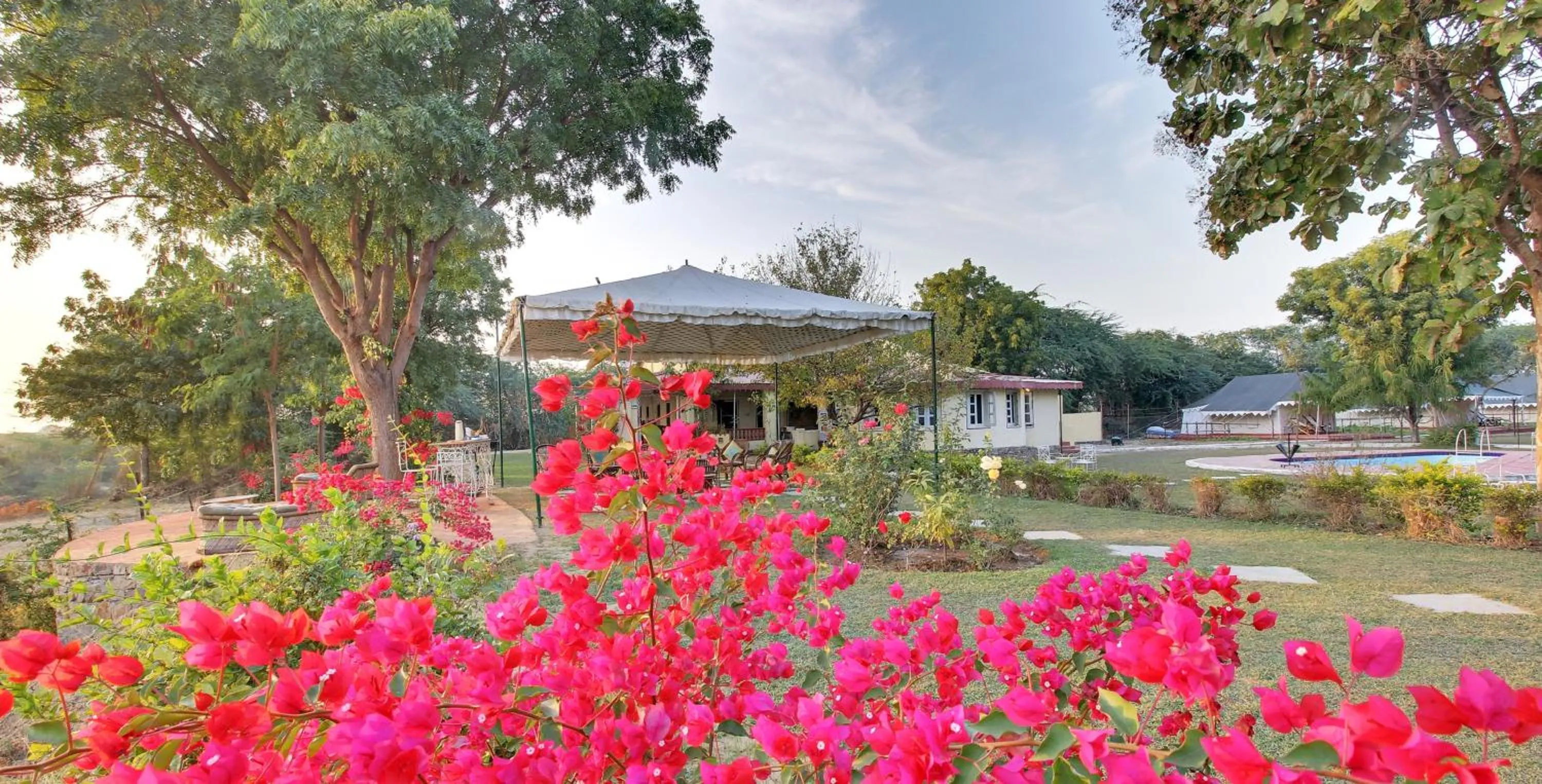 Patio in Bhadrawati - A Riverside Safari Lodge Ranthambore
