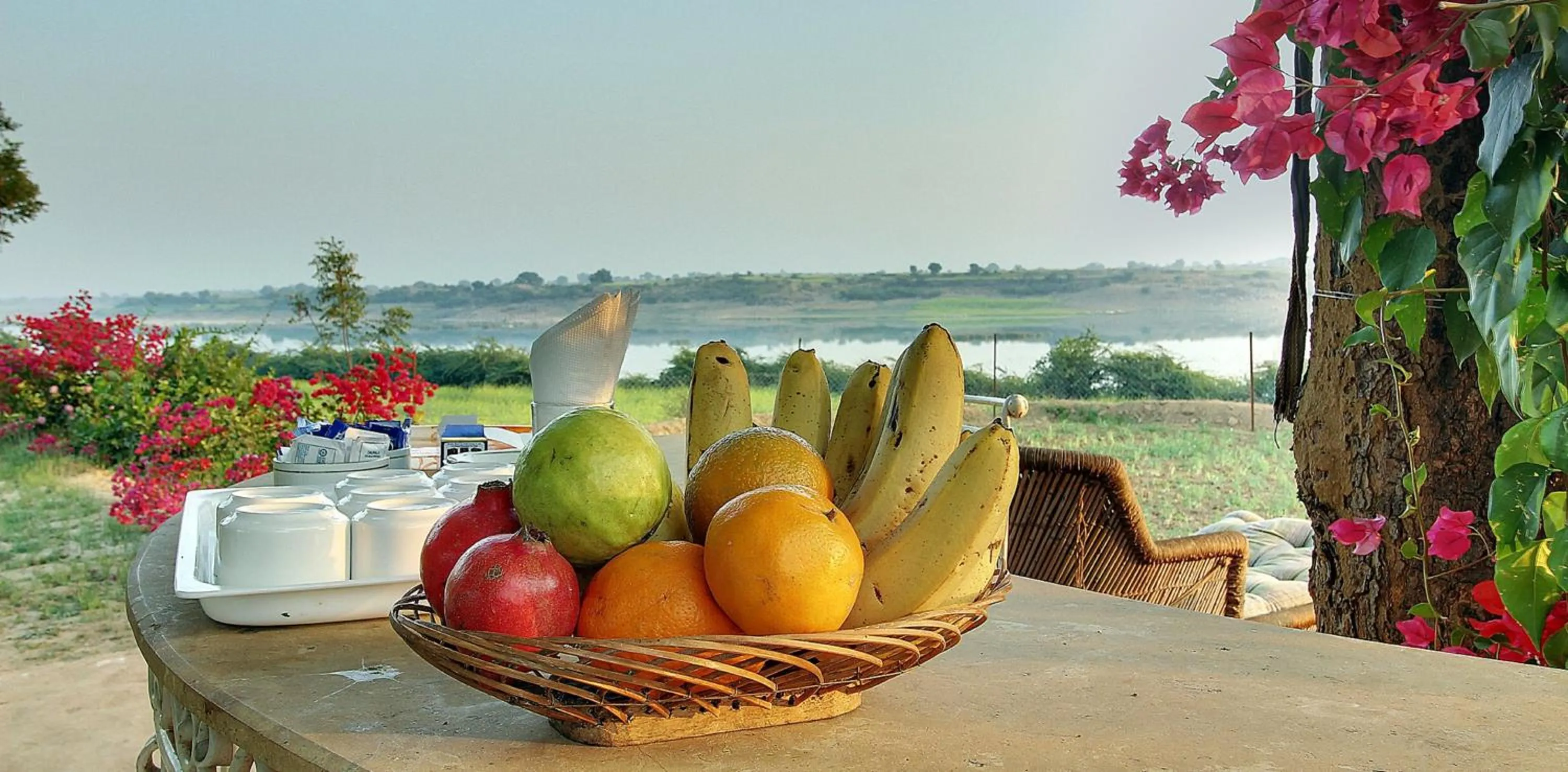 Food and drinks in Bhadrawati - A Riverside Safari Lodge Ranthambore