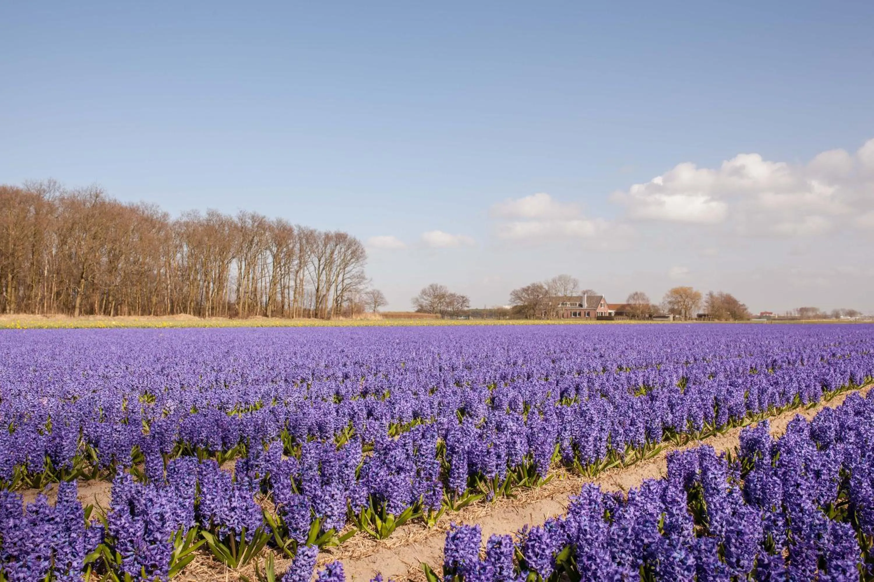 Nearby landmark in B&B 'De Bedstee'