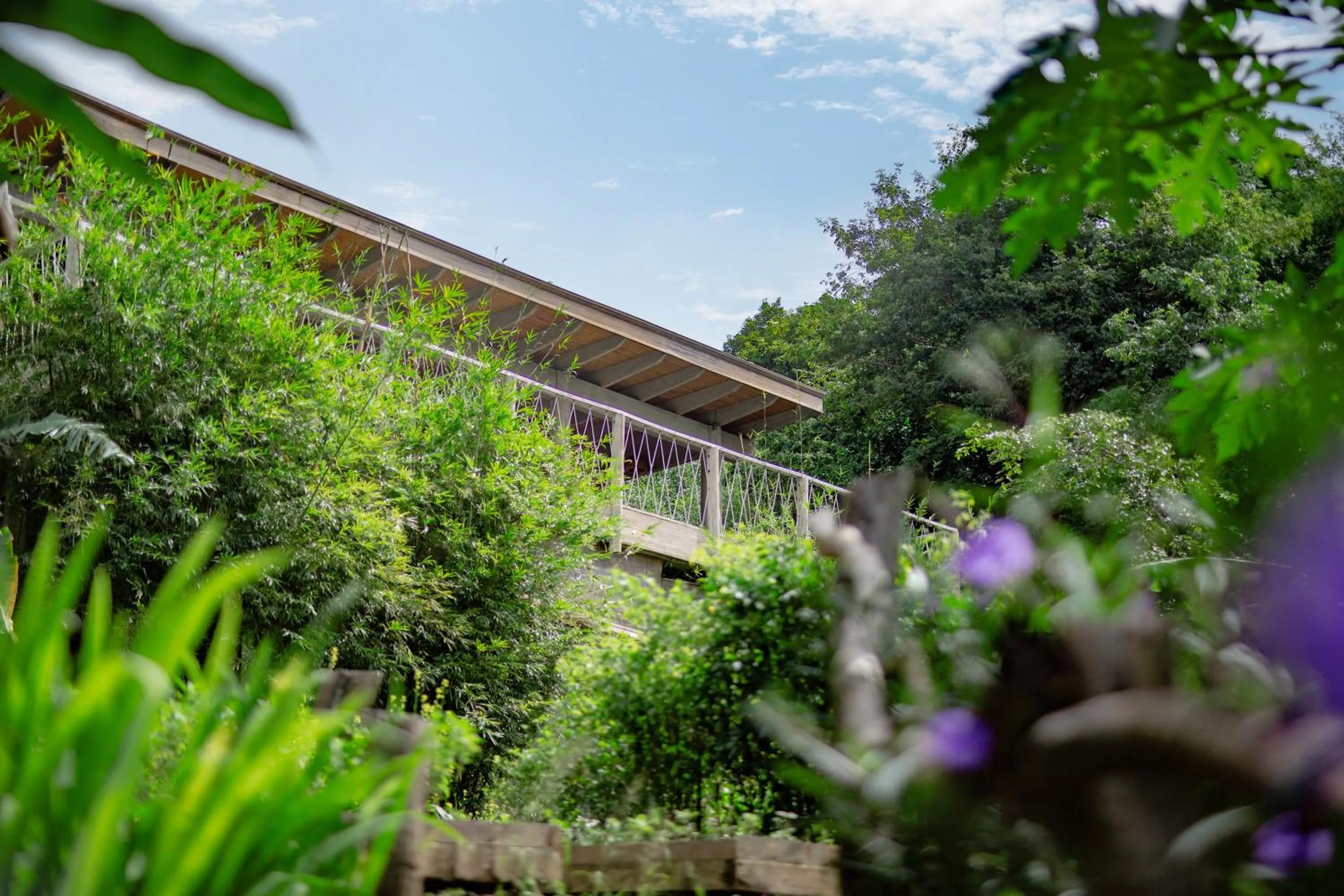 Garden in An Lam Retreats Ninh Van Bay