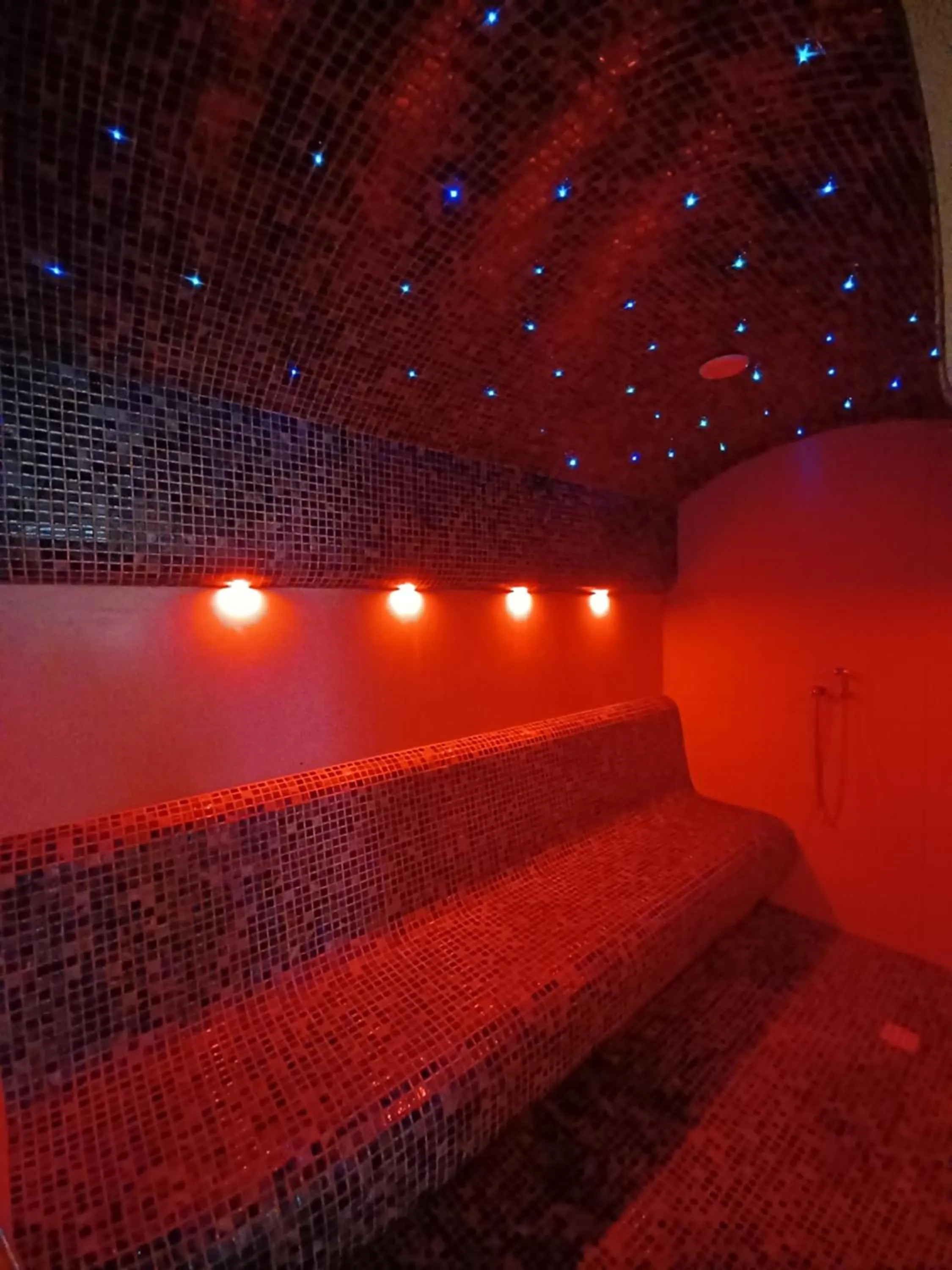 Sauna in Hotel Carmen