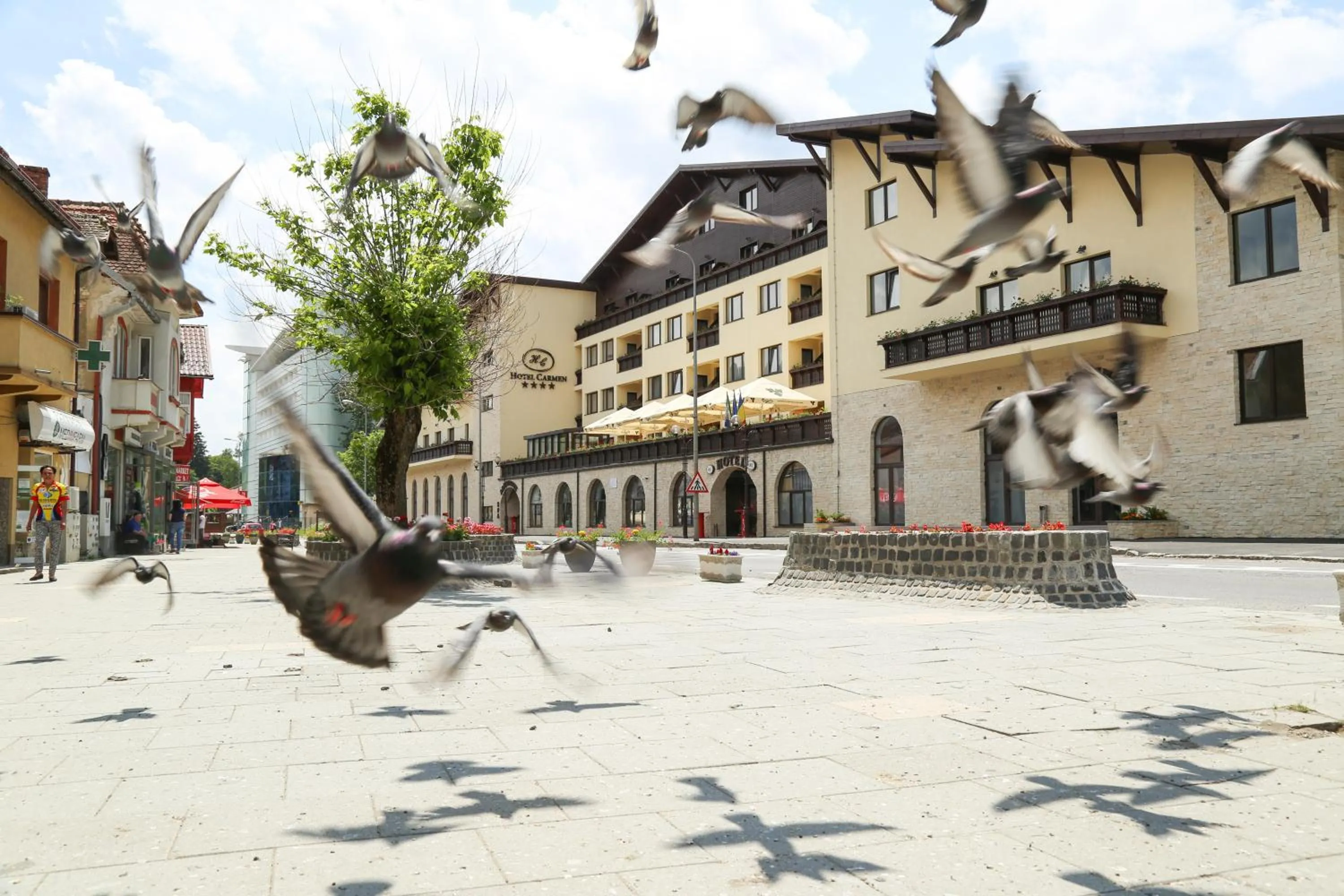 Facade/entrance in Hotel Carmen