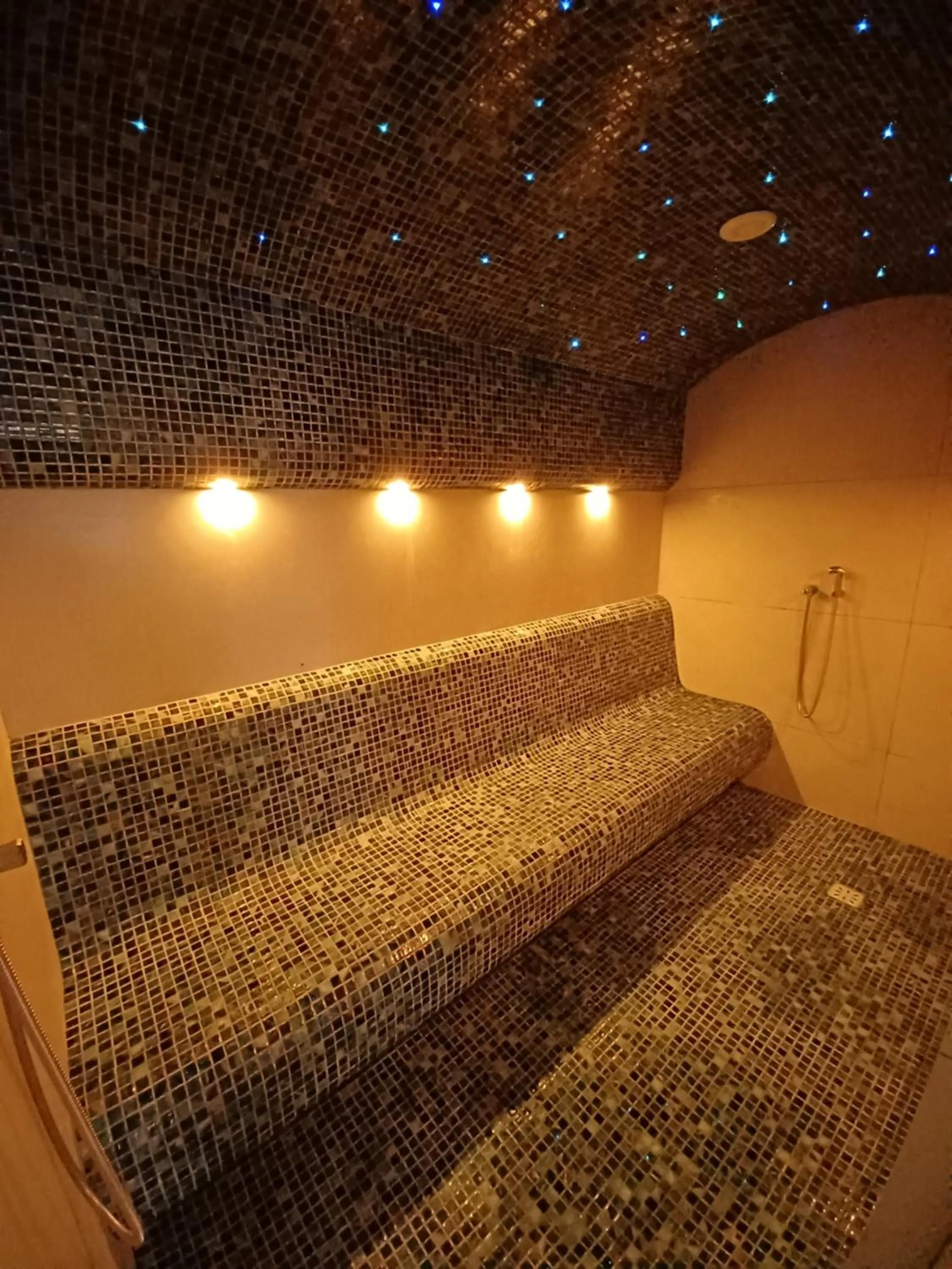 Sauna in Hotel Carmen