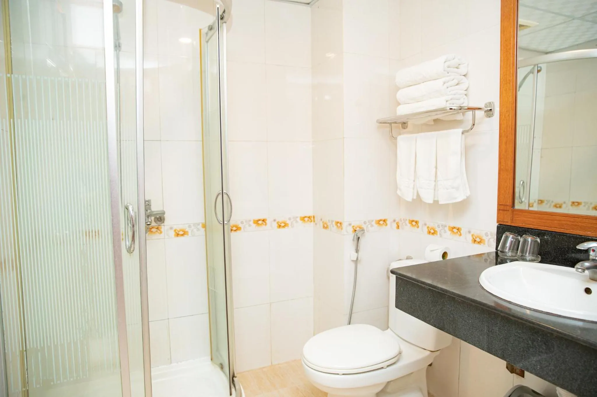 bidet in Tre Xanh Hotel