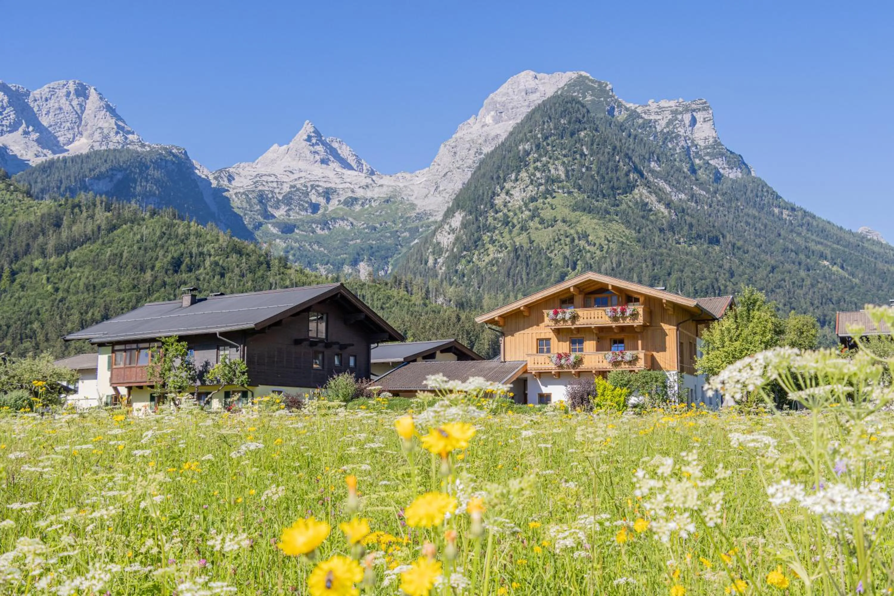 Property building in Ferienhaus Hohenwarter