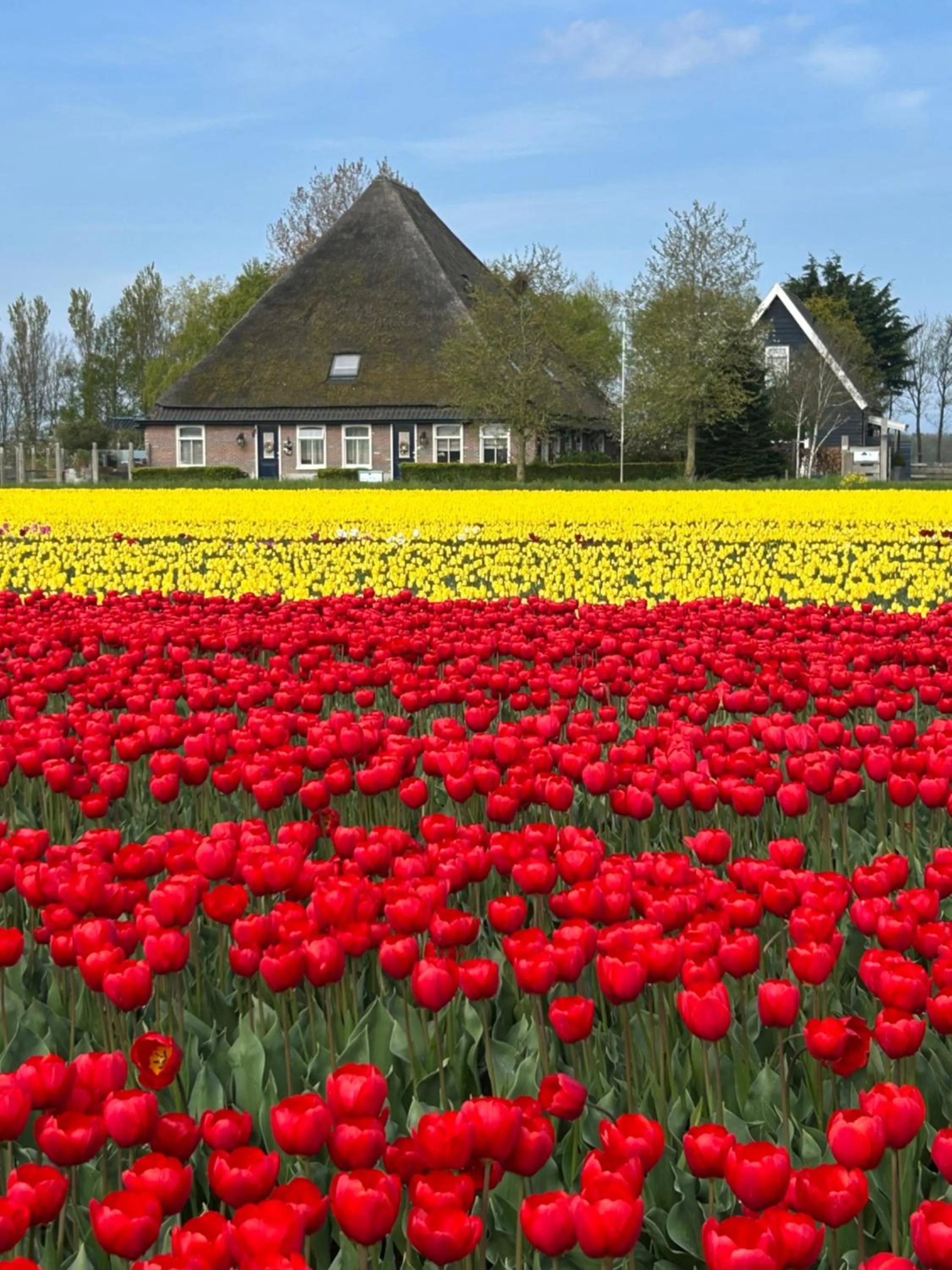 Spring in B&B Idylle aan Zee incl 2 Wellnessstudios