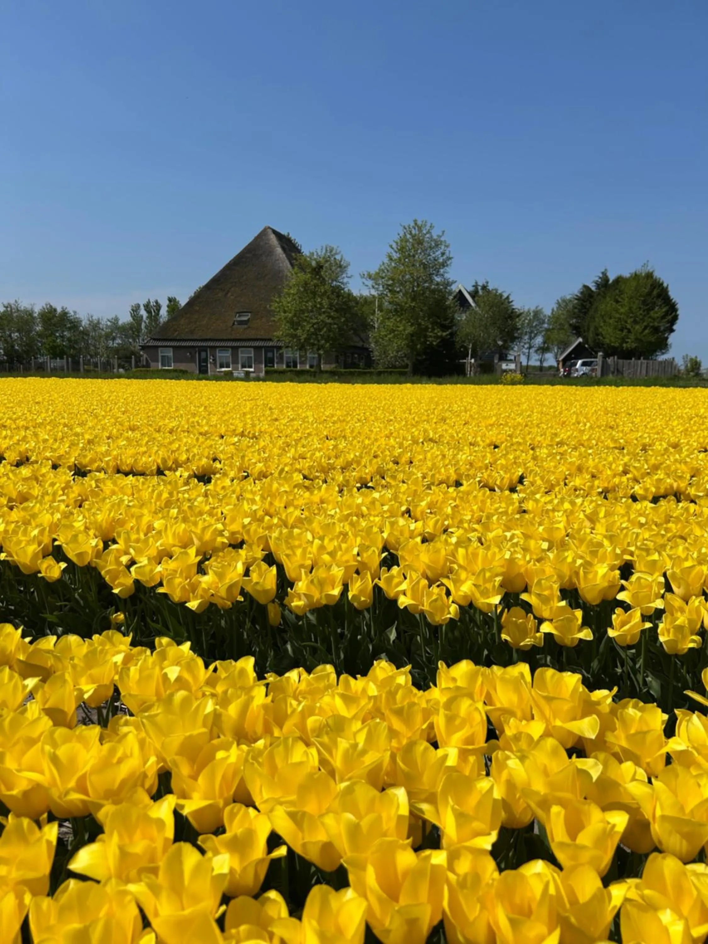 Spring in B&B Idylle aan Zee incl 2 Wellnessstudios