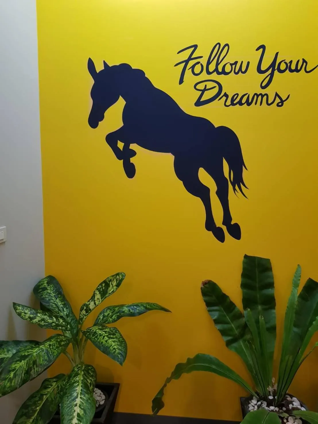 Night in Mont Place Donmuang