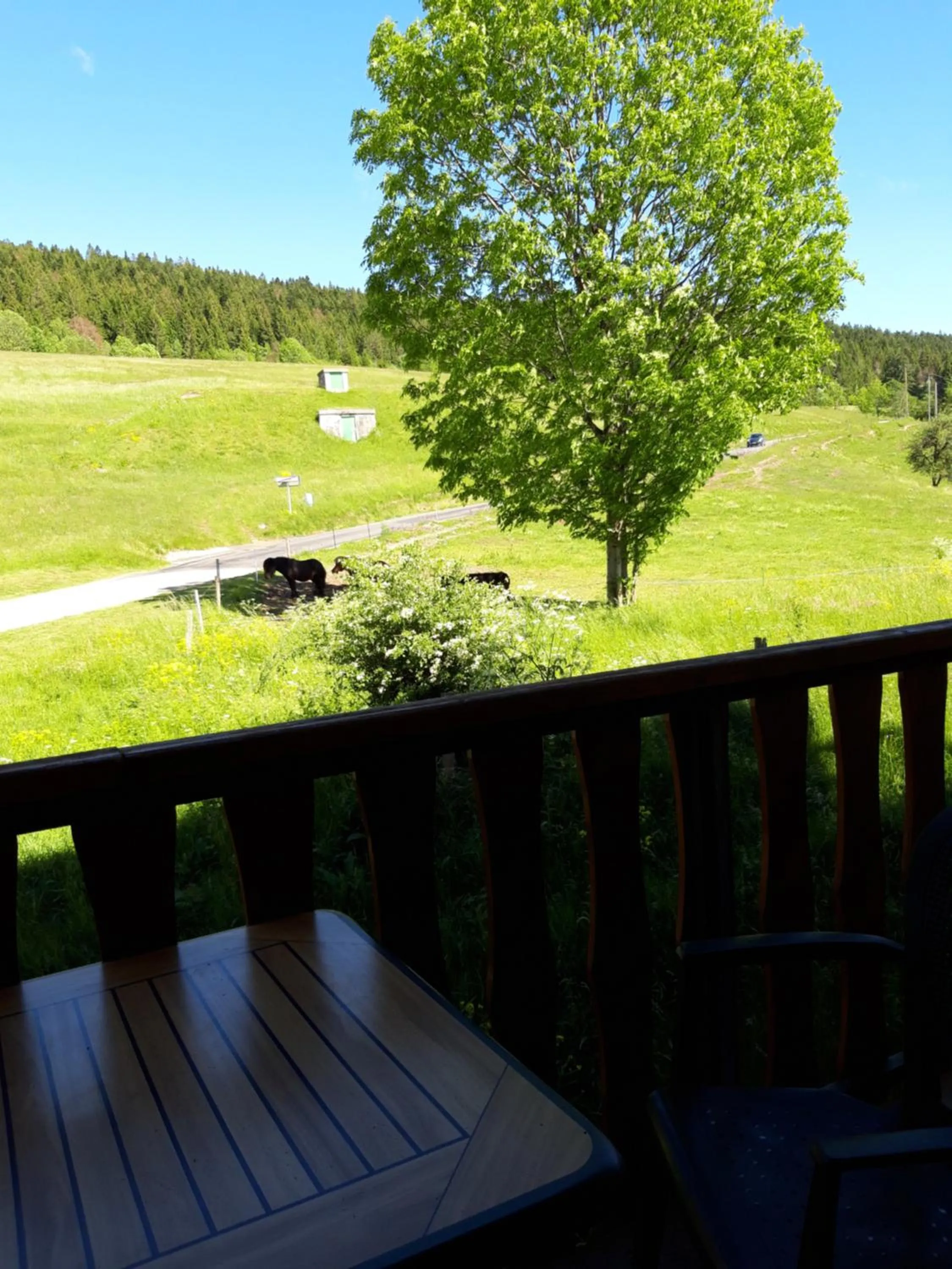 Balcony/Terrace in Le Relais Nordique