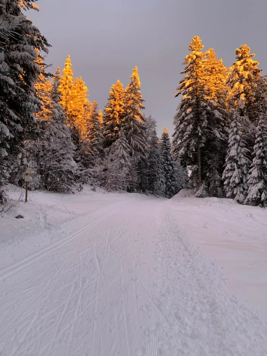Natural landscape in Le Relais Nordique