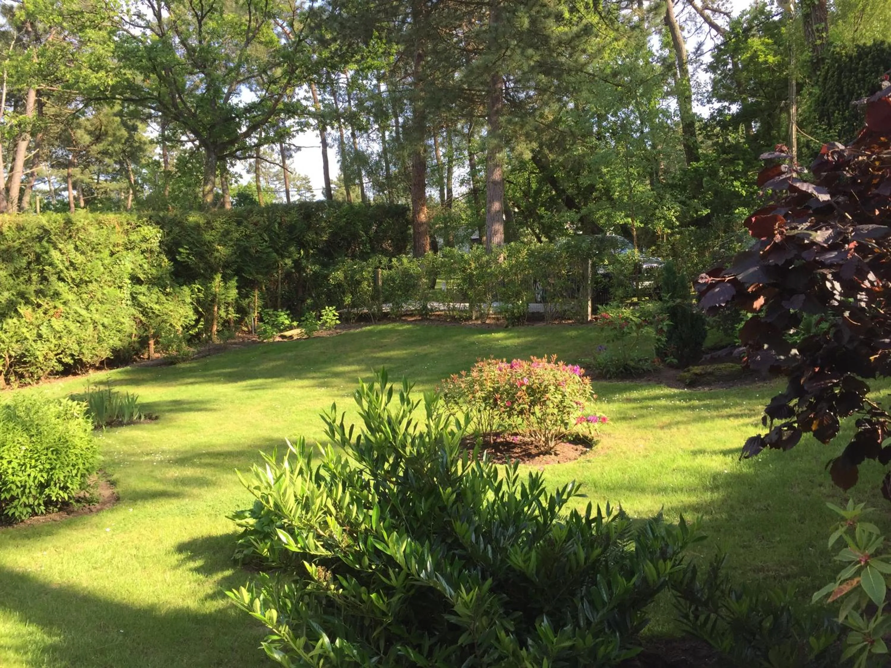 Villa d'hôtes Graine de Pin