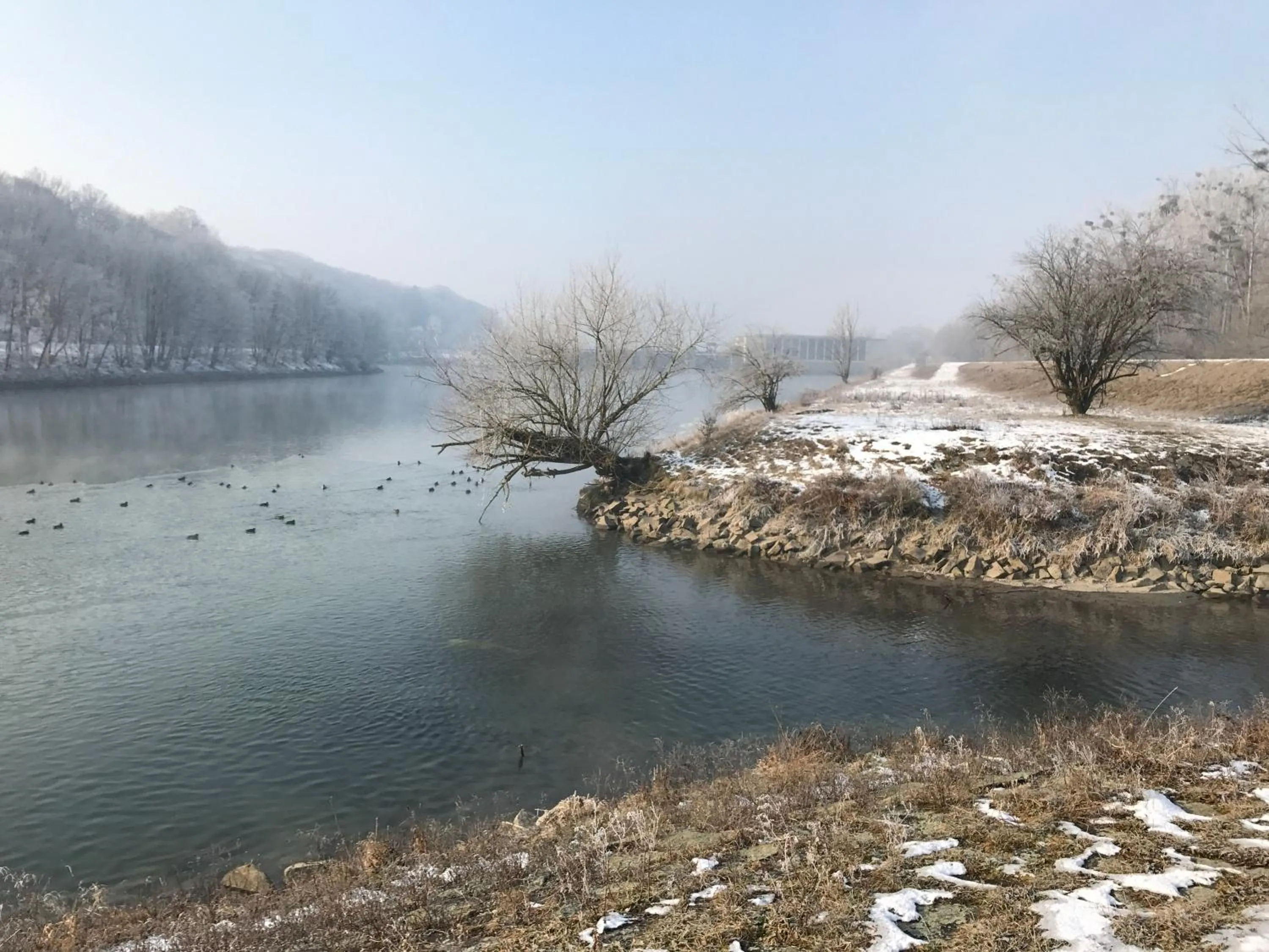 Natural landscape in Aparthotel nah dran