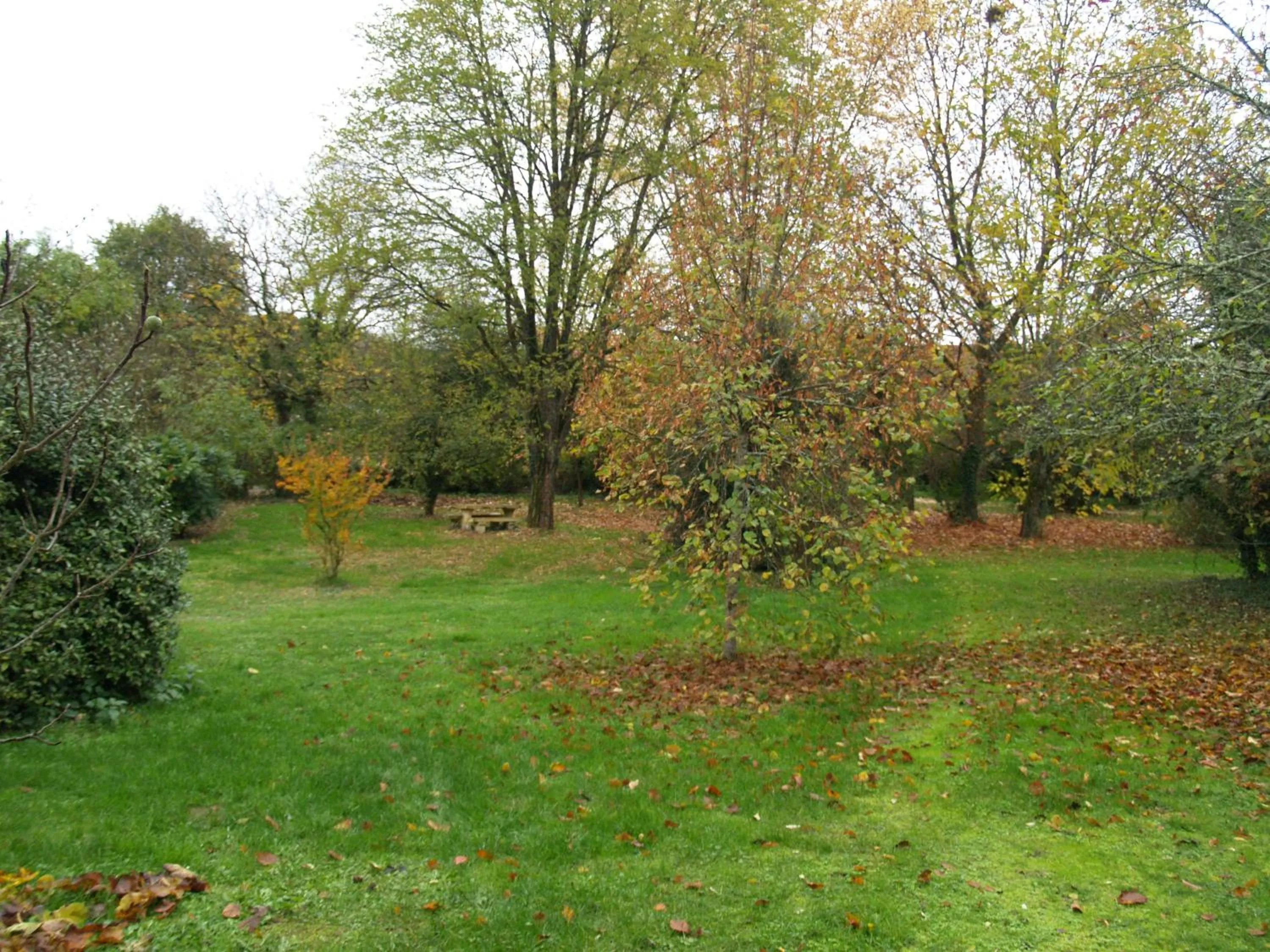 Garden in Le Clos de Carmensac