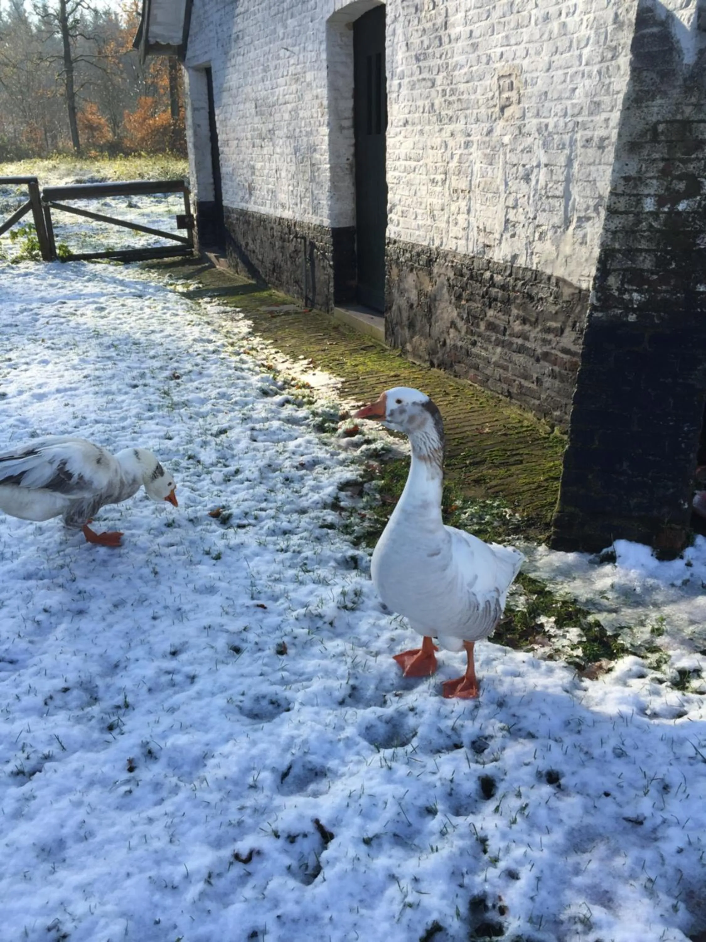 Natural landscape in Hotel Prélude