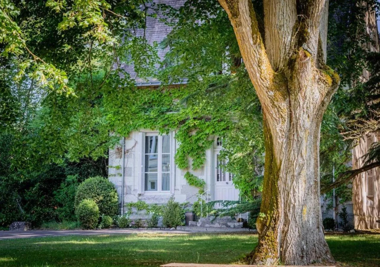 Autumn in Domaine de la Tortinière