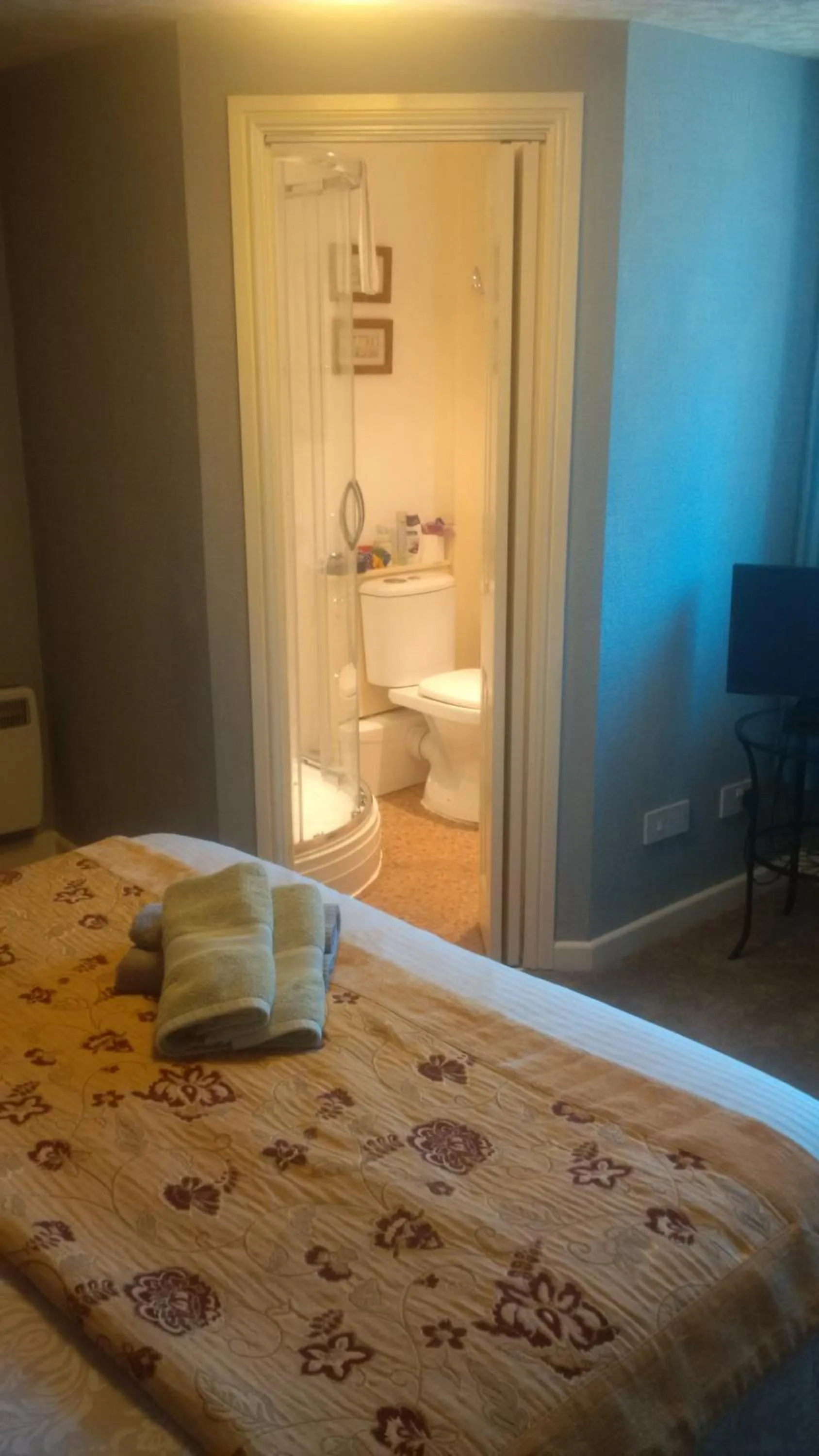 Shower, Bed in Grayling House