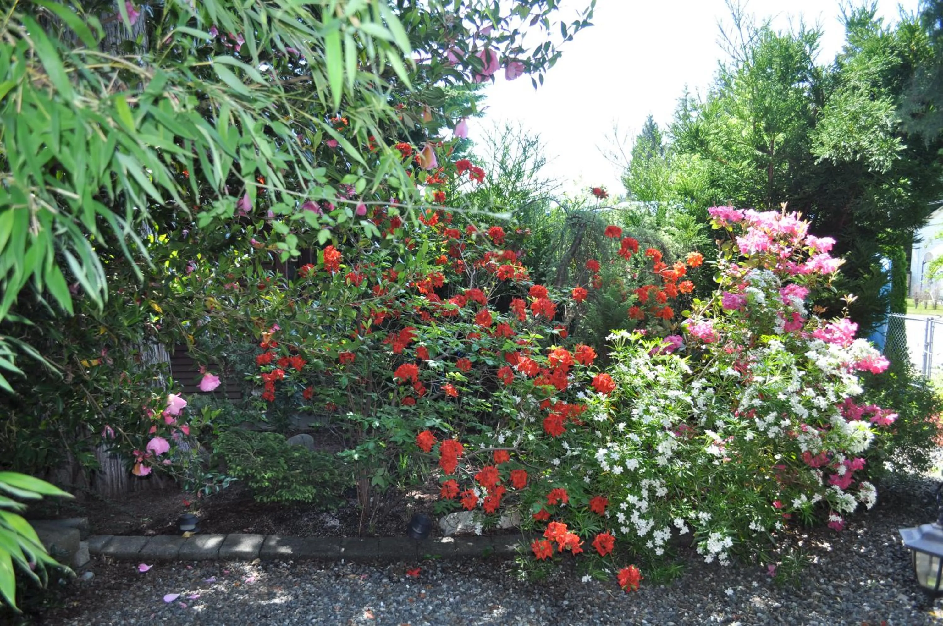 Spring in Garden House