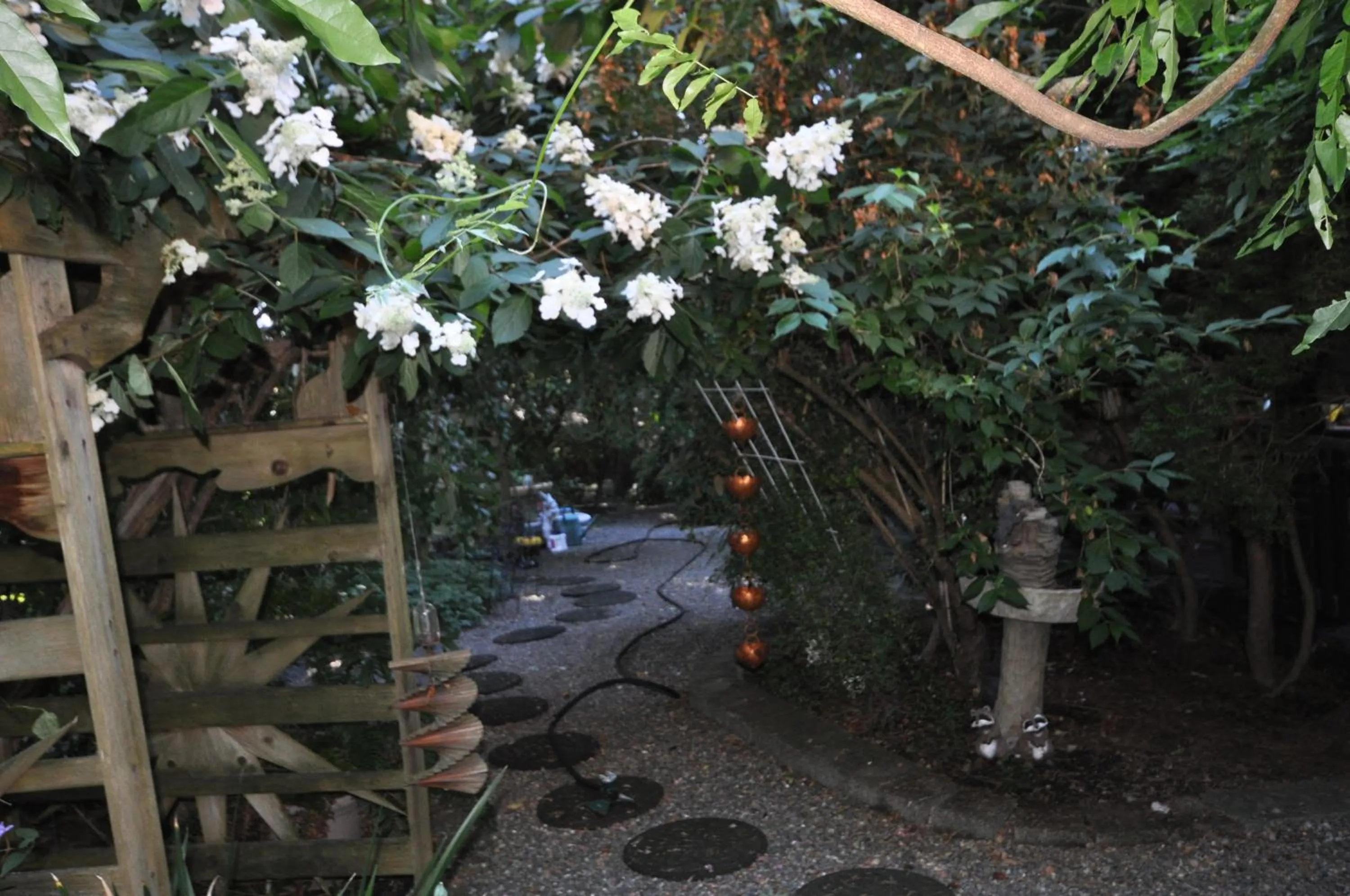 Natural landscape in Garden House