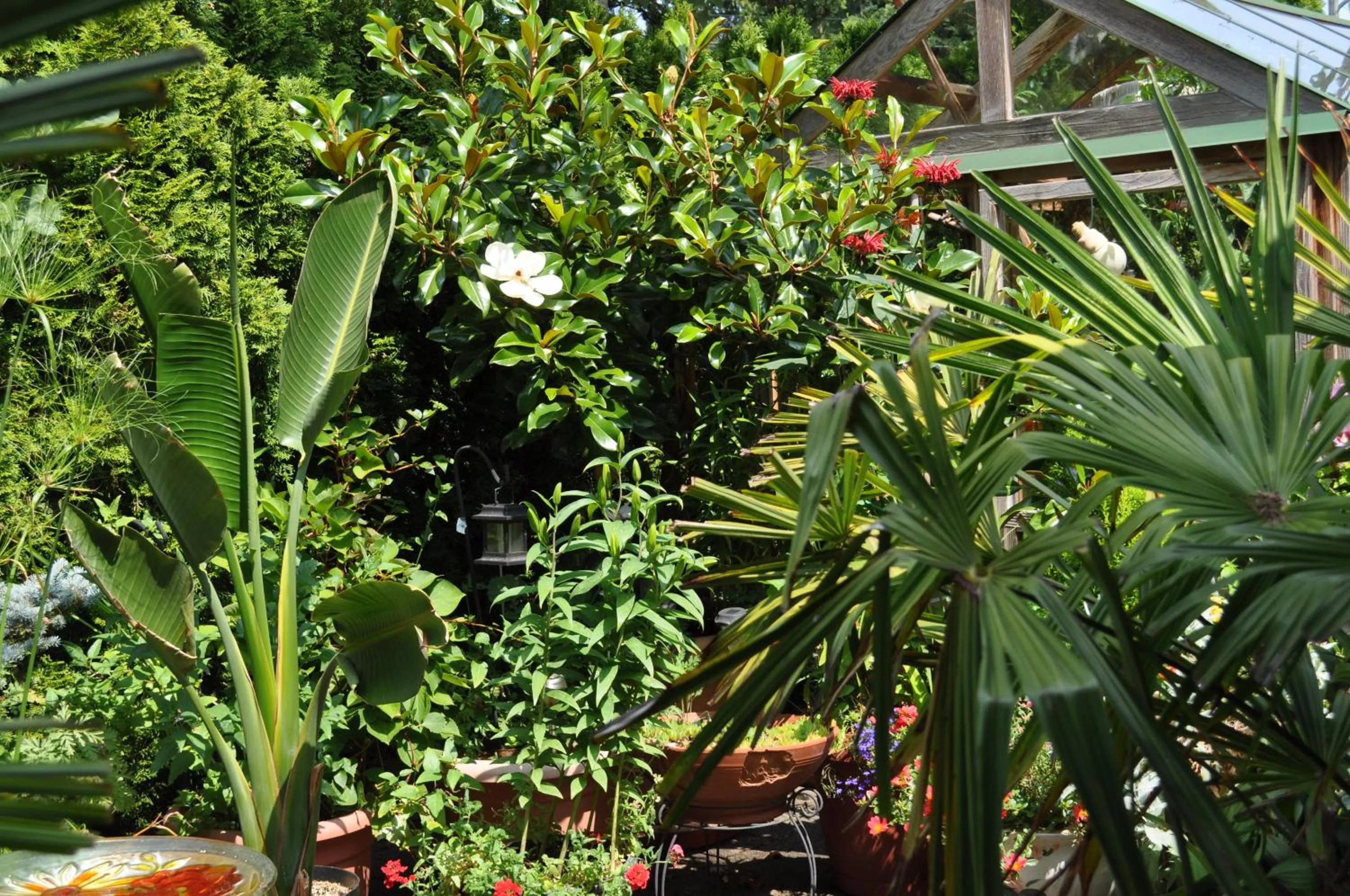 Garden view in Garden House