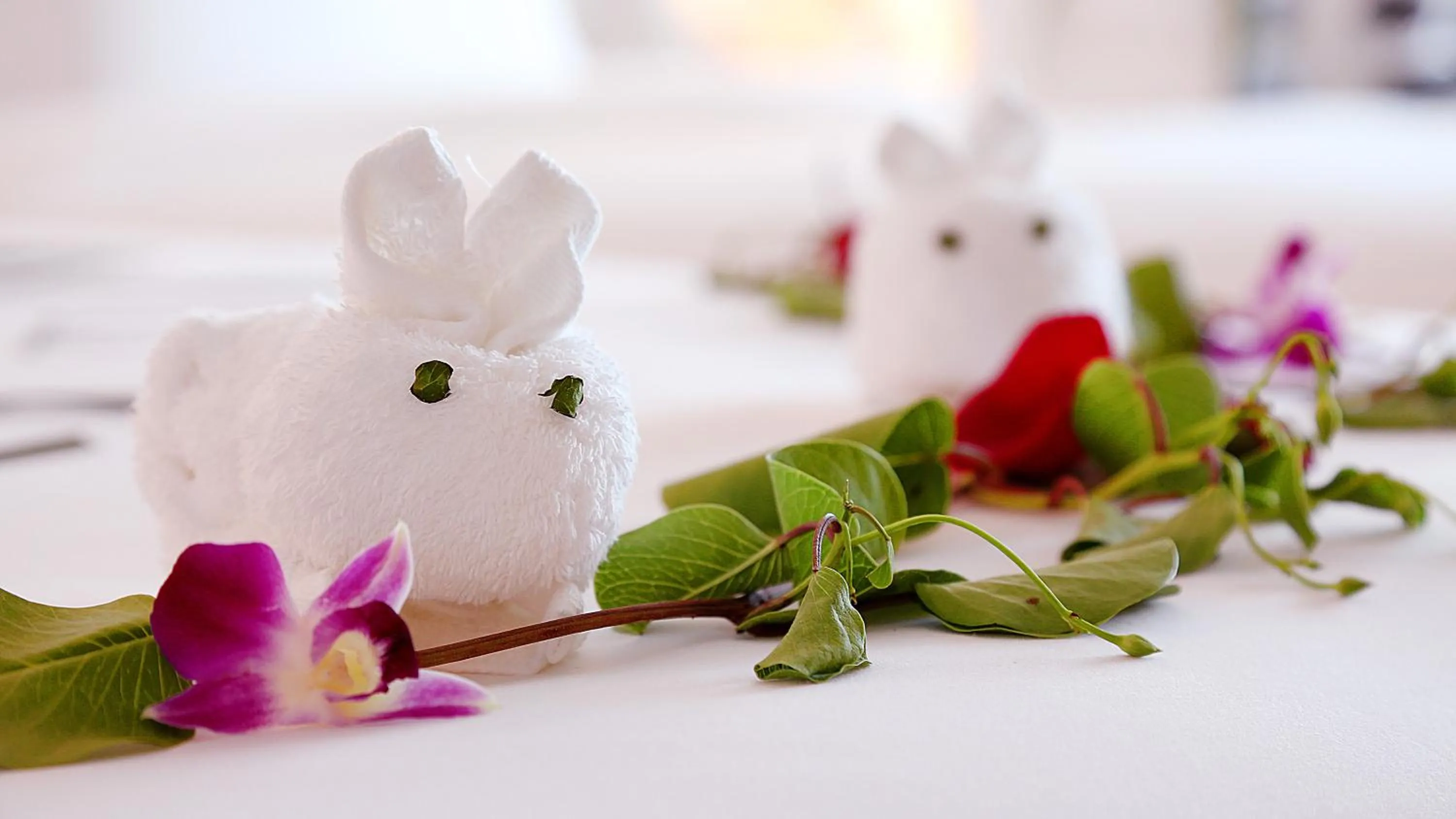 Other in The Mangrovetree Sanya Resort