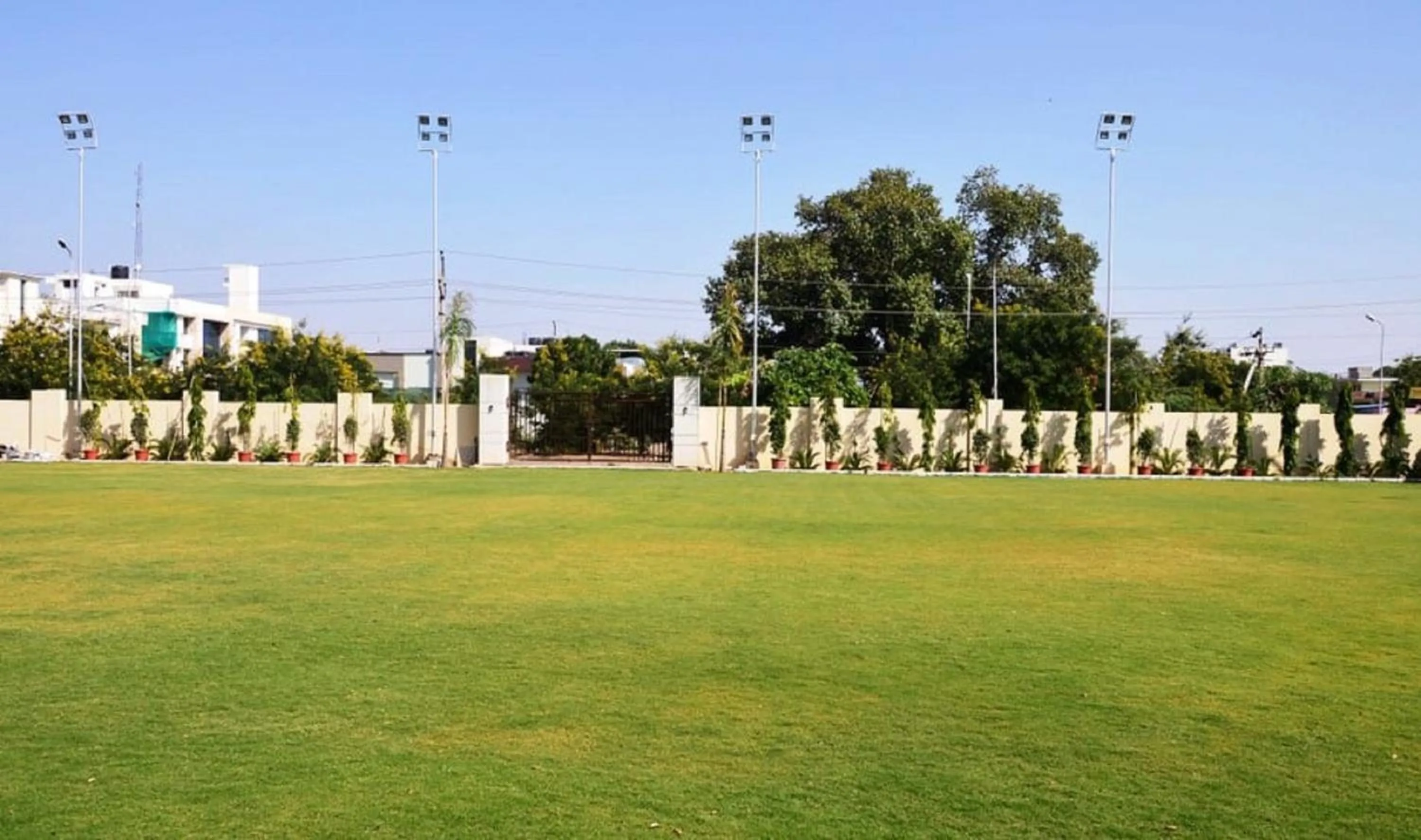 Garden in Hotel Grand Maple