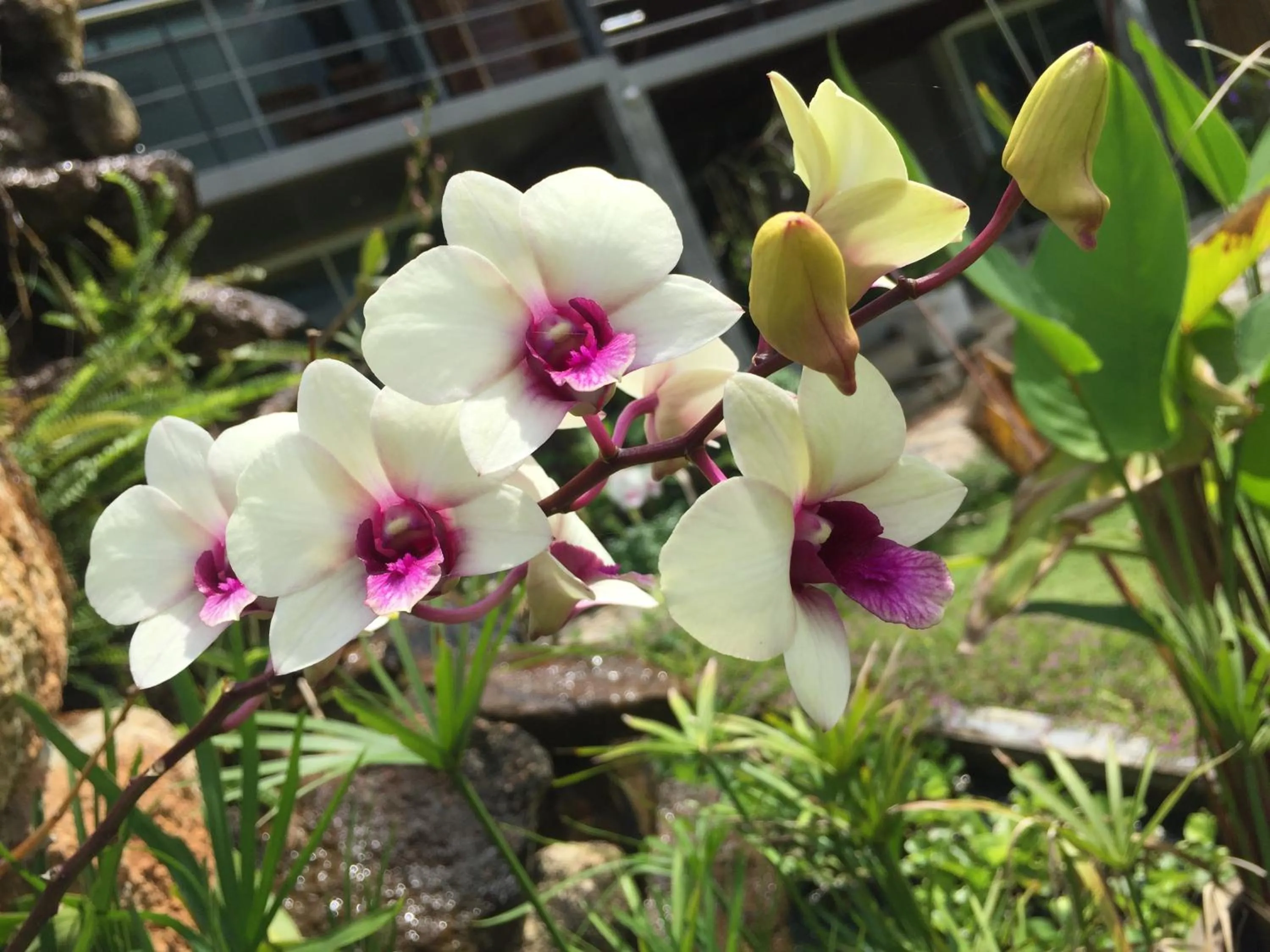 Baan Boom Boxes Eco Friendly Resort