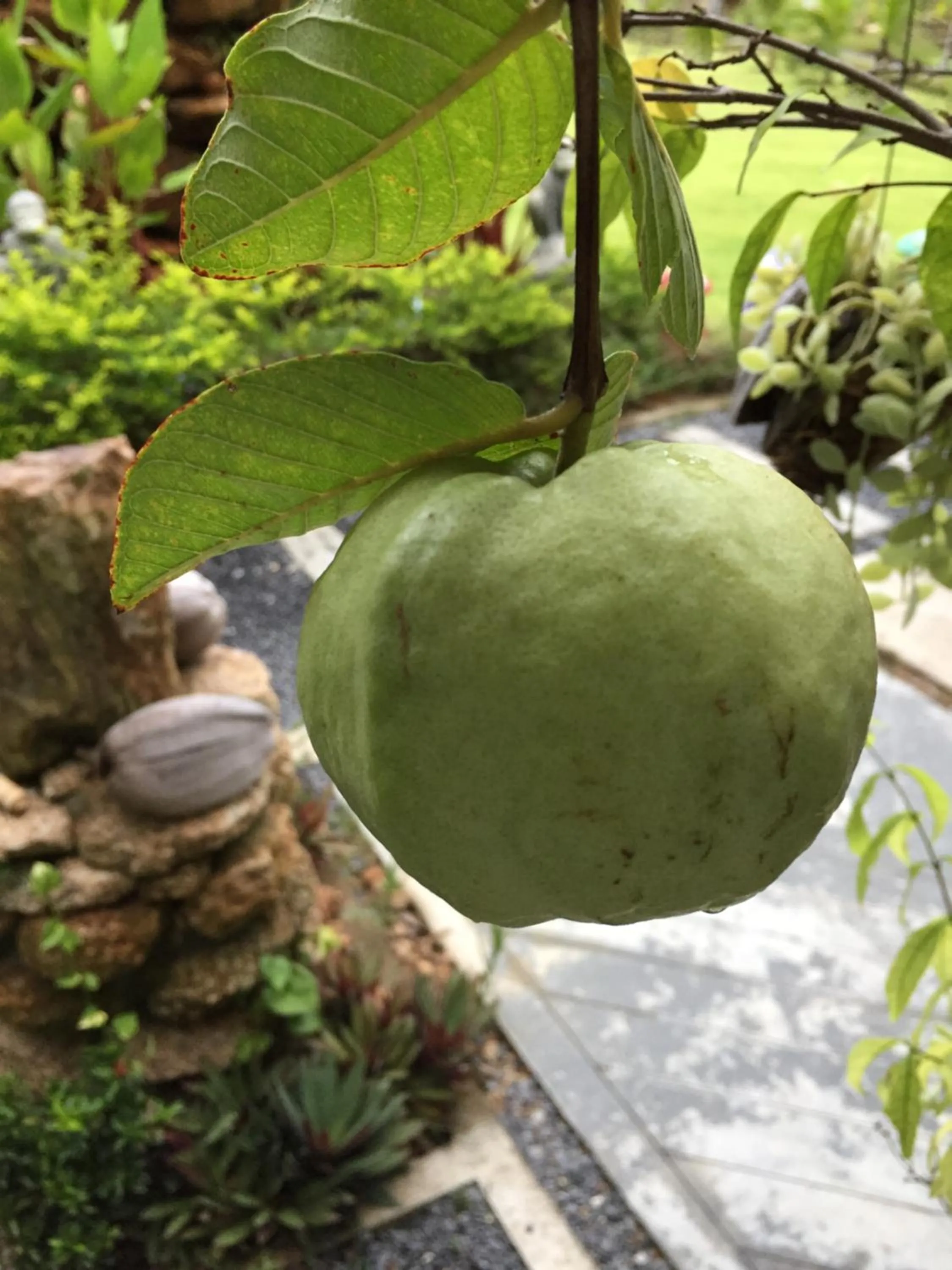 Baan Boom Boxes Eco Friendly Resort