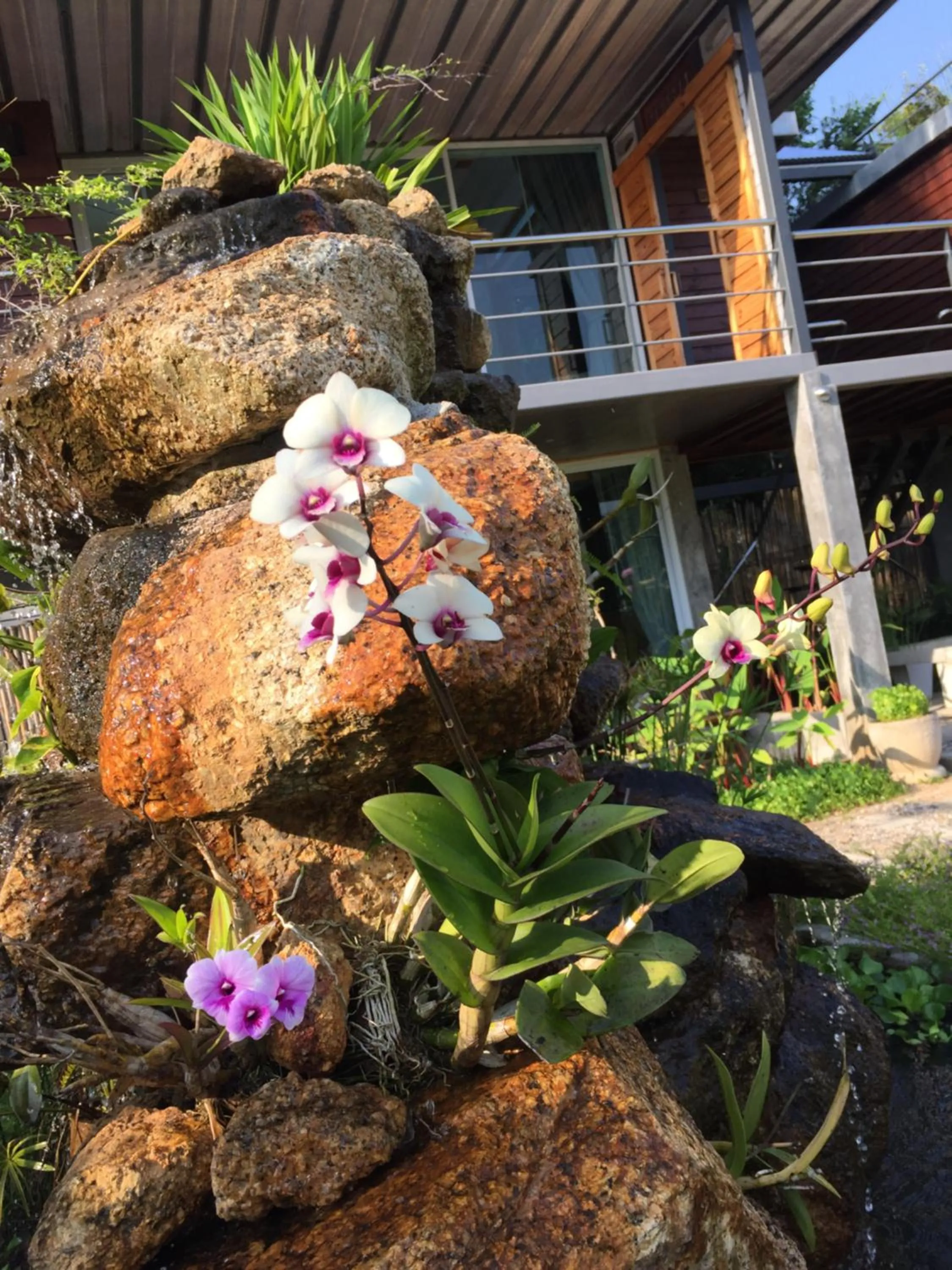 Baan Boom Boxes Eco Friendly Resort