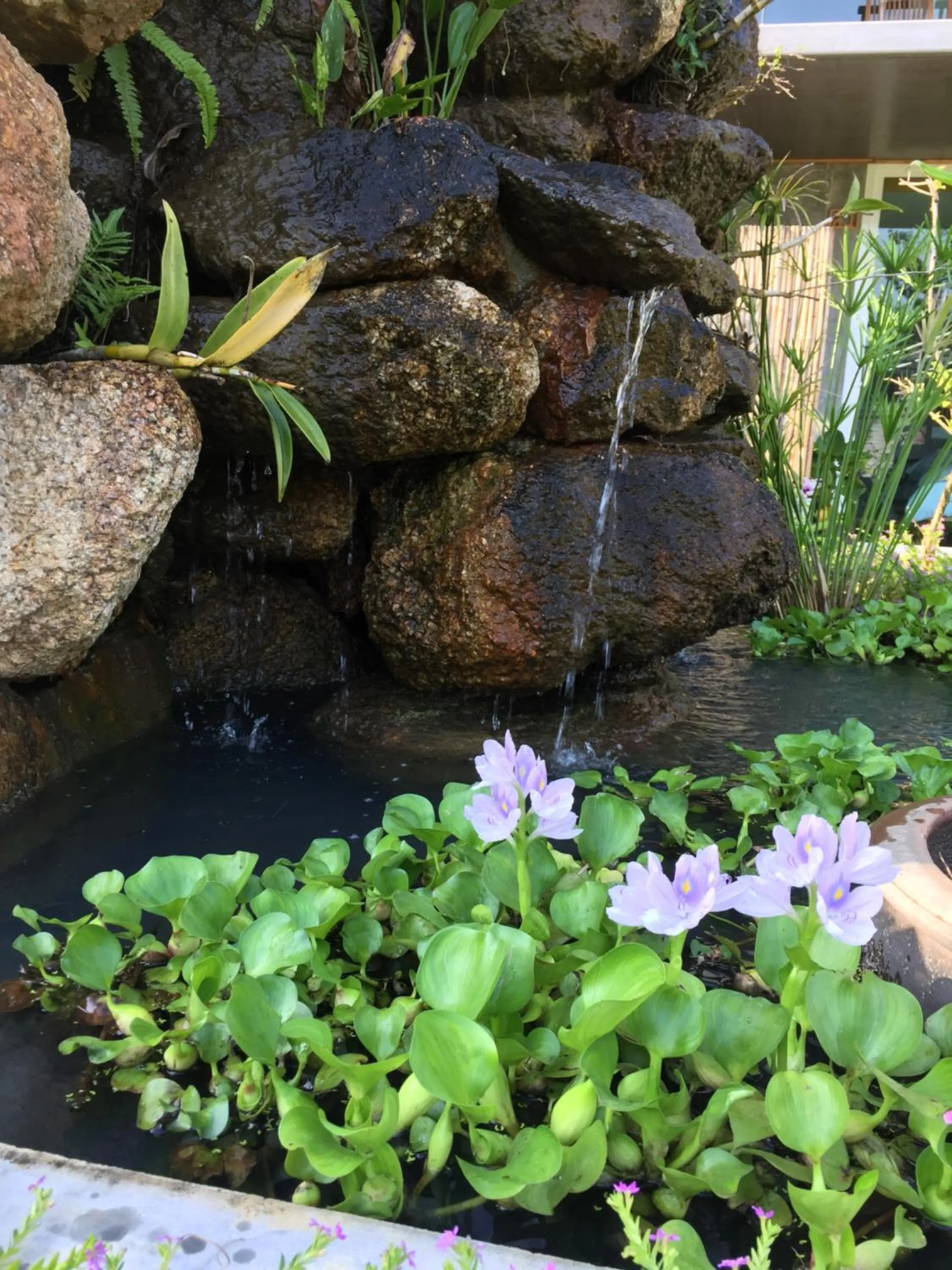 Baan Boom Boxes Eco Friendly Resort