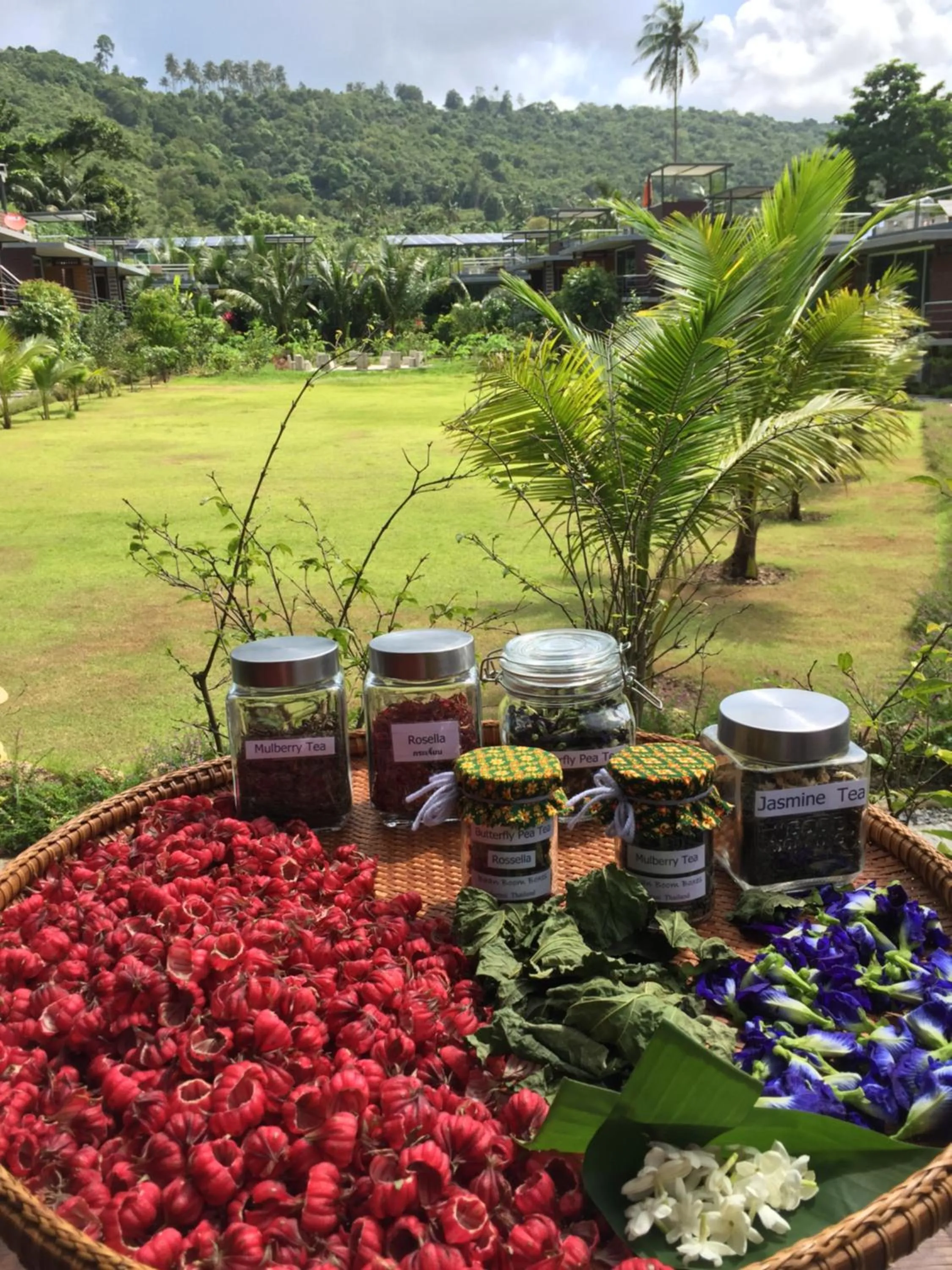 Baan Boom Boxes Eco Friendly Resort