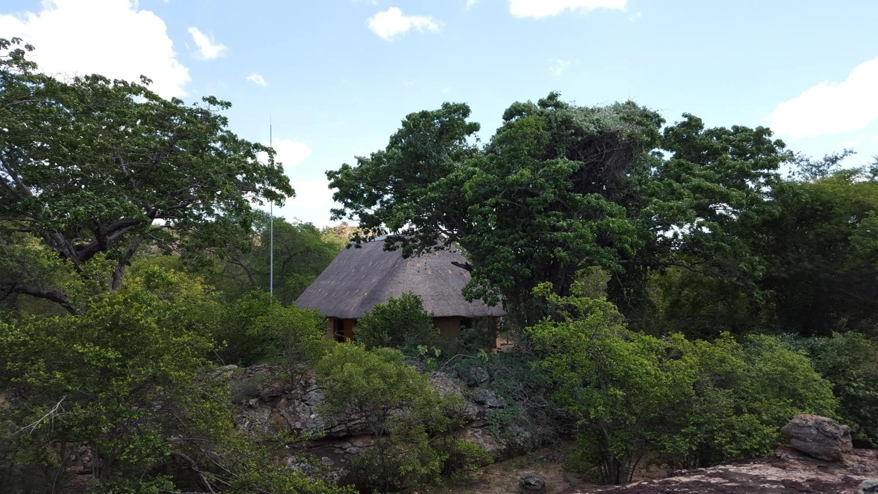 Bird's eye view in Awelani Lodge