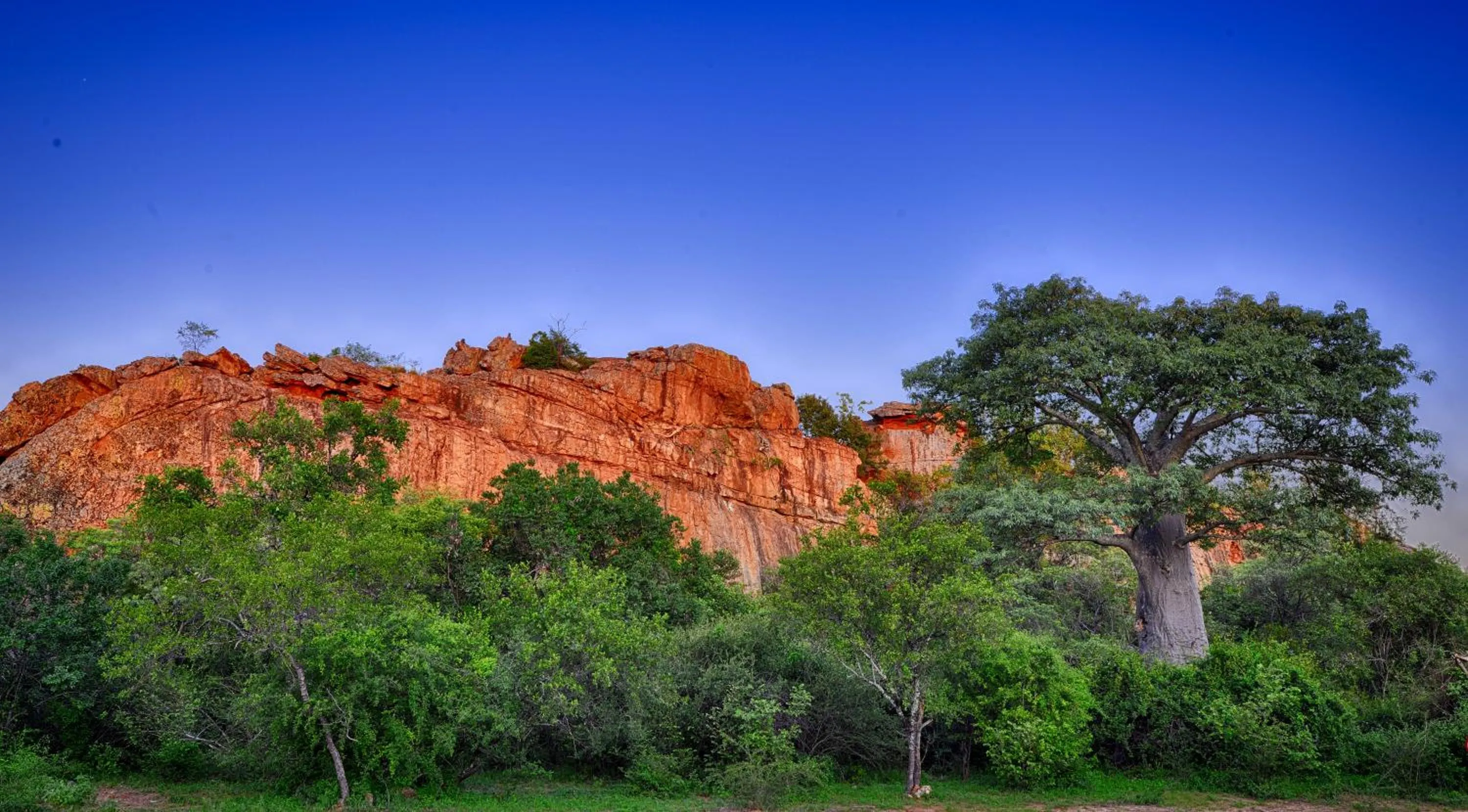Natural landscape in Awelani Lodge