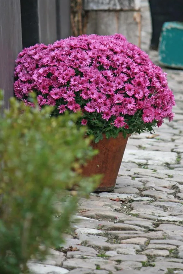 Decorative detail in Hotel Prins van Oranje