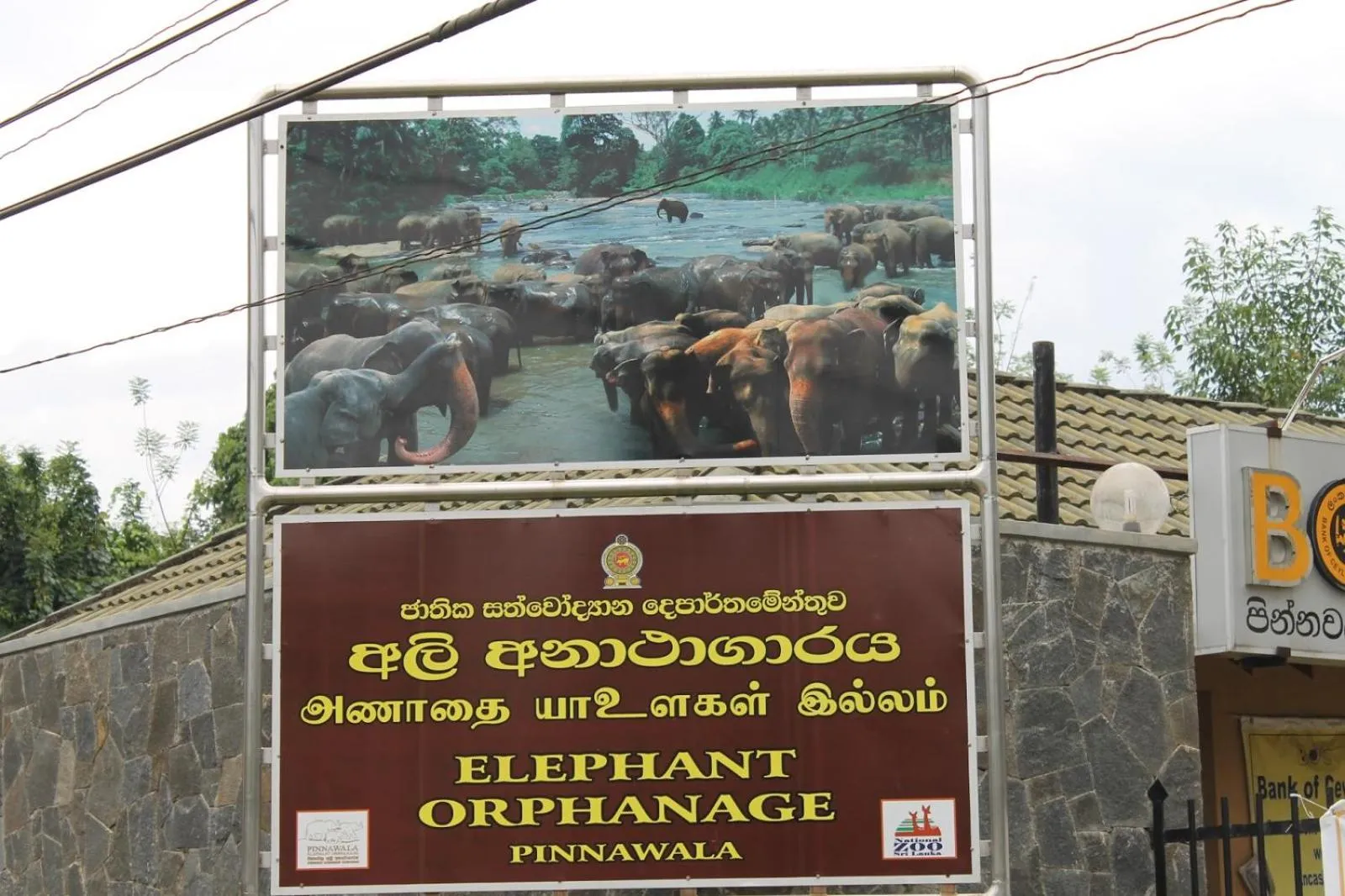 Property building in Cafe Pinnalanda