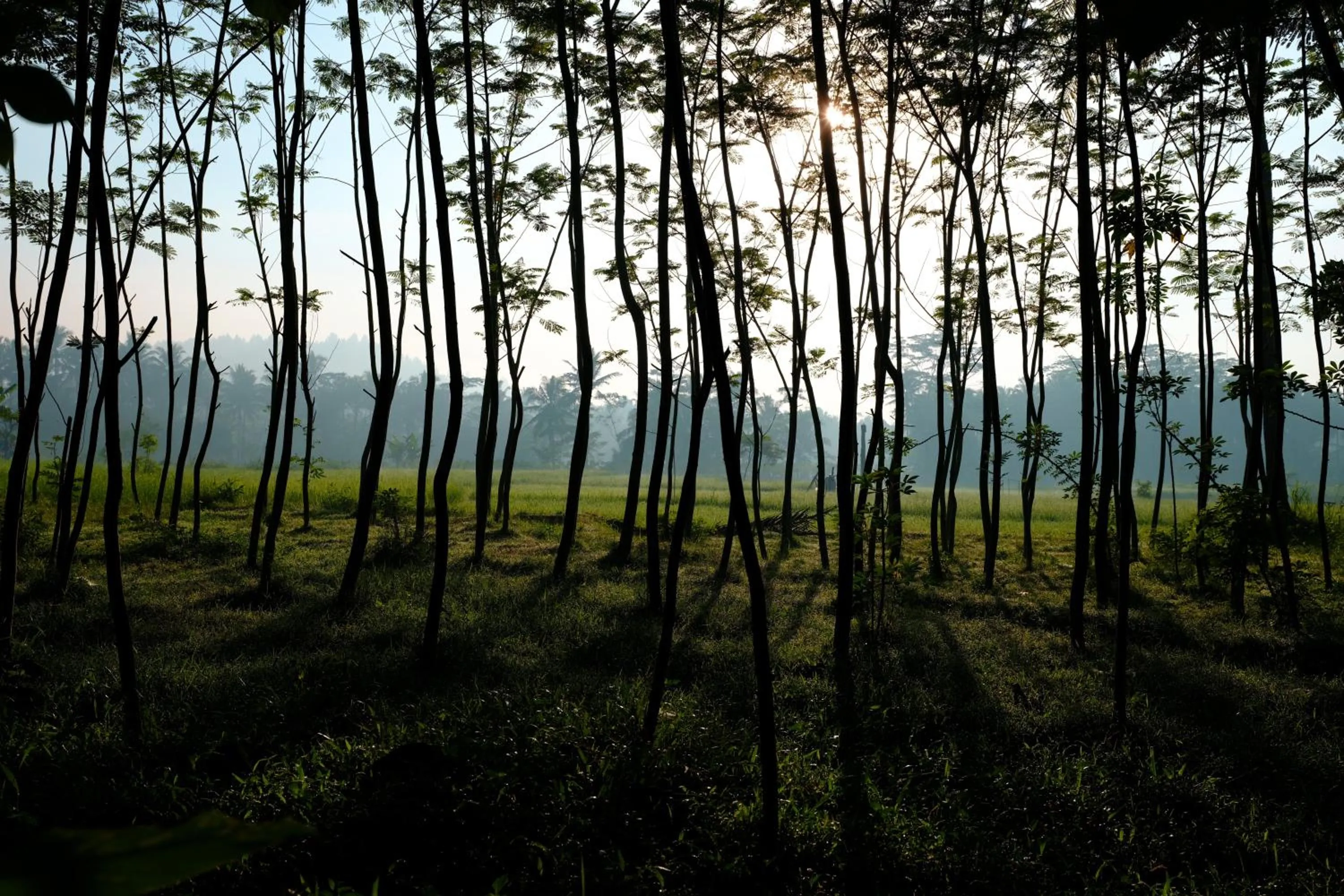 Off site in Plataran Heritage Borobudur Hotel