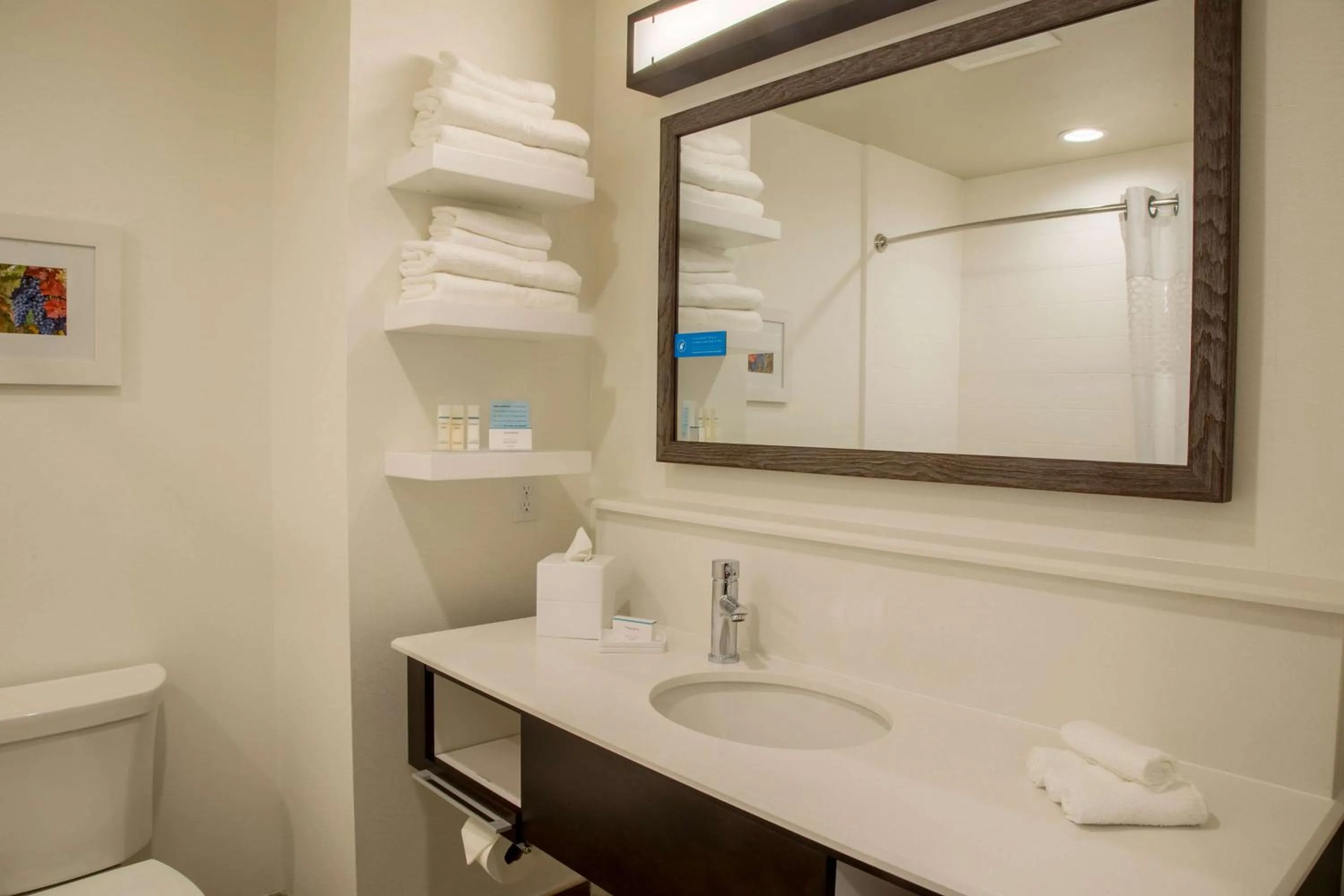 Bathroom in Hampton Inn & Suites Murrieta Temecula