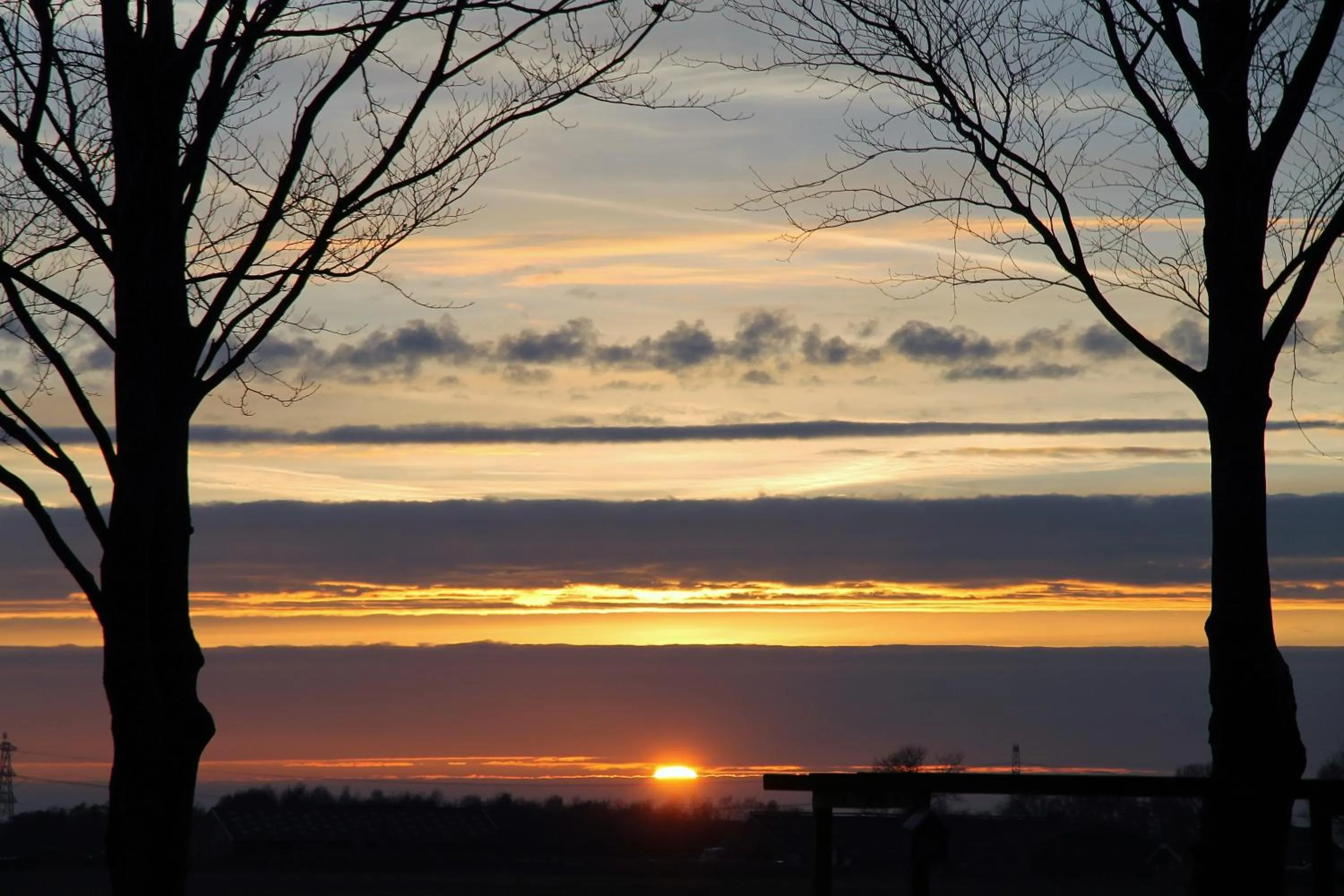 Winter in De Porrepoele