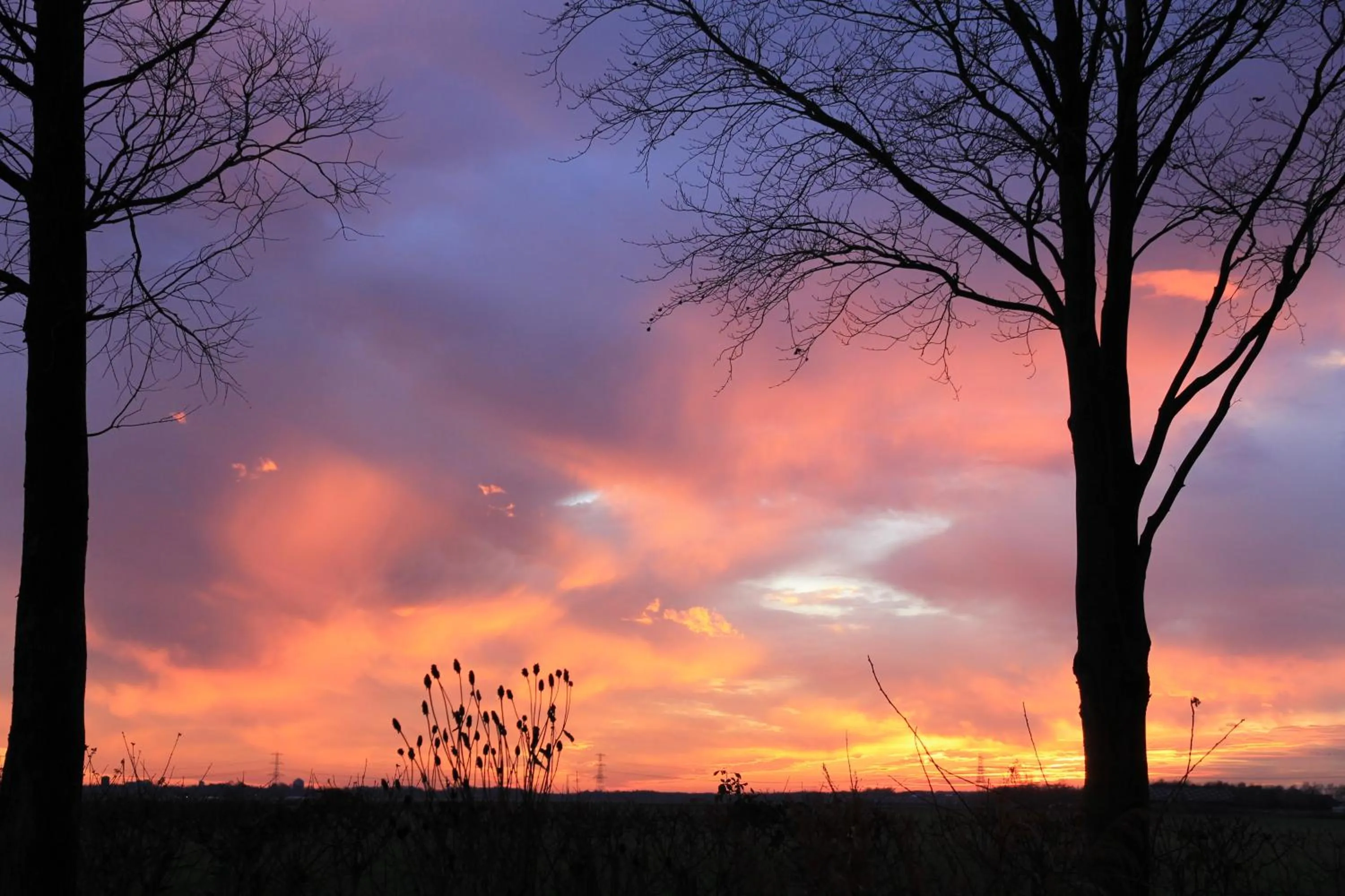 Winter in De Porrepoele