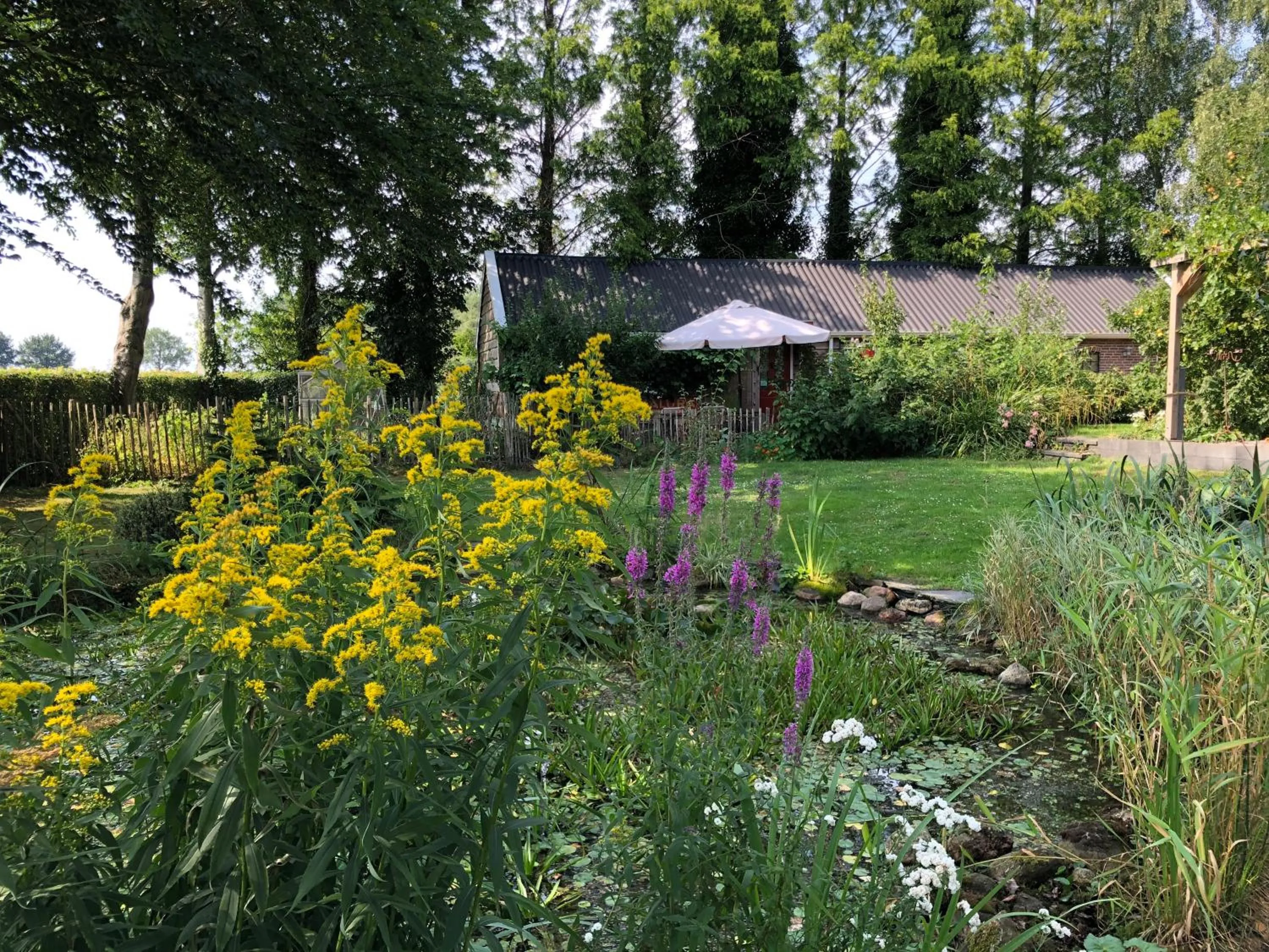 Property building in De Porrepoele