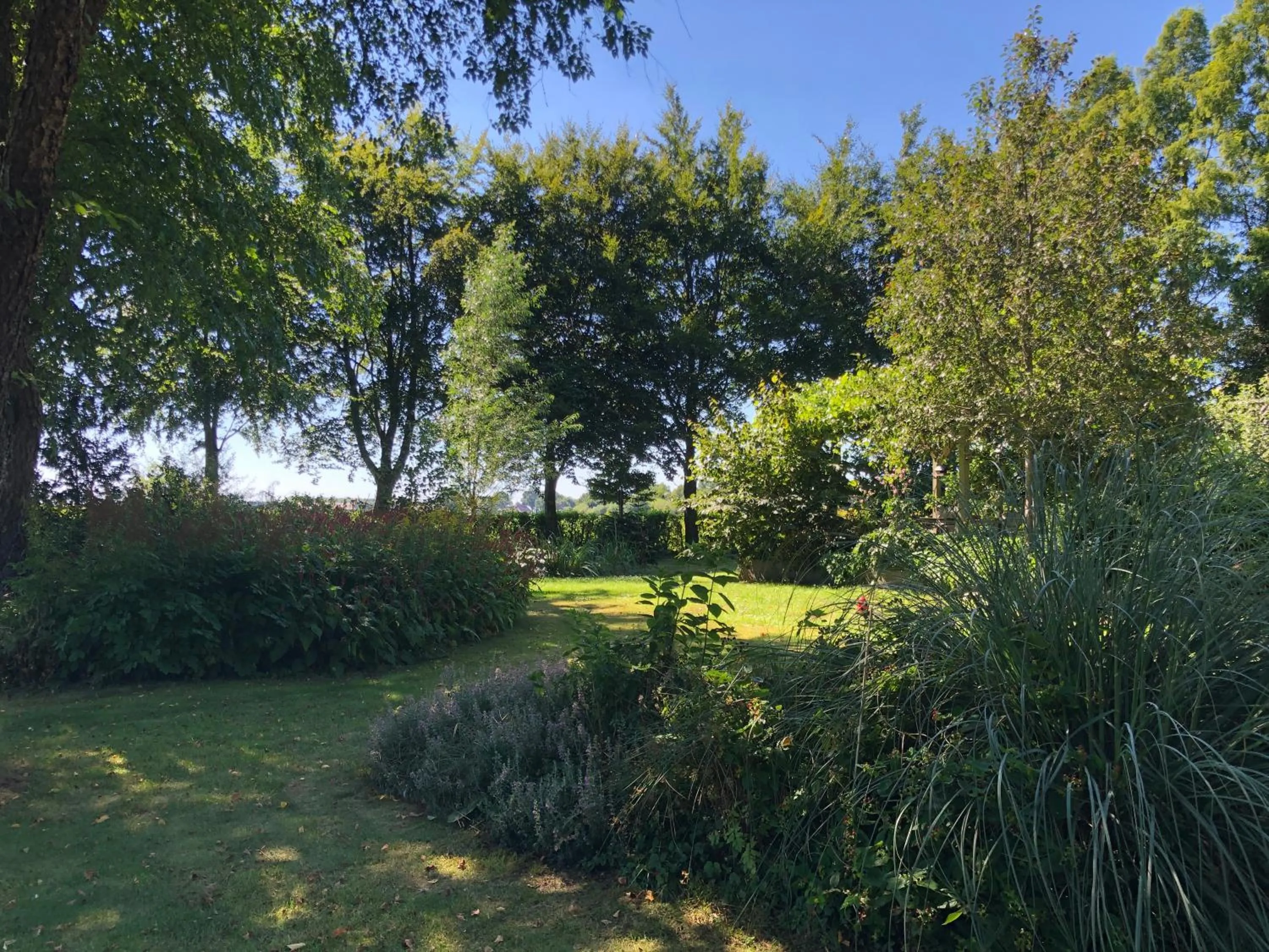 Garden in De Porrepoele