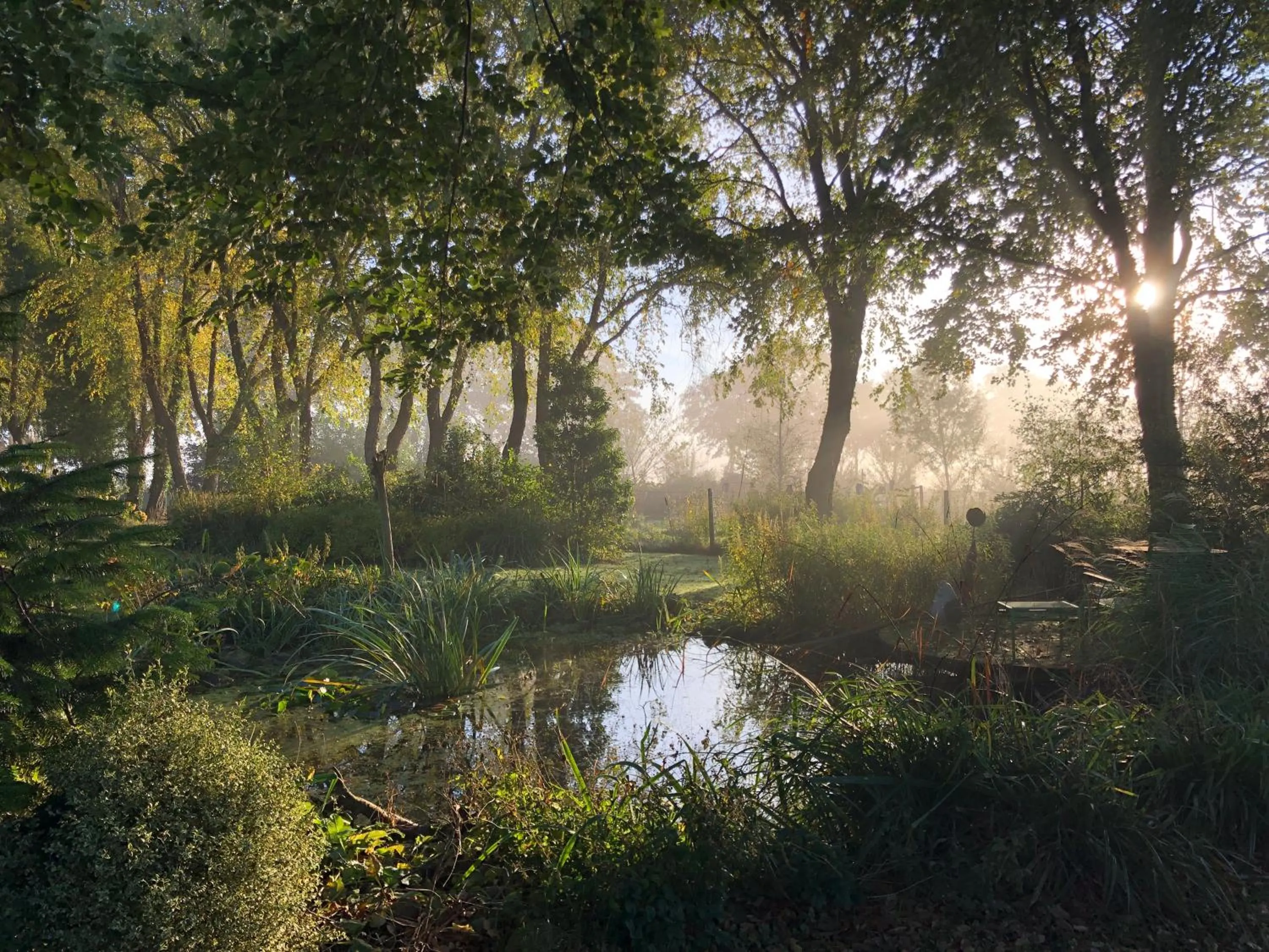 Garden view in De Porrepoele