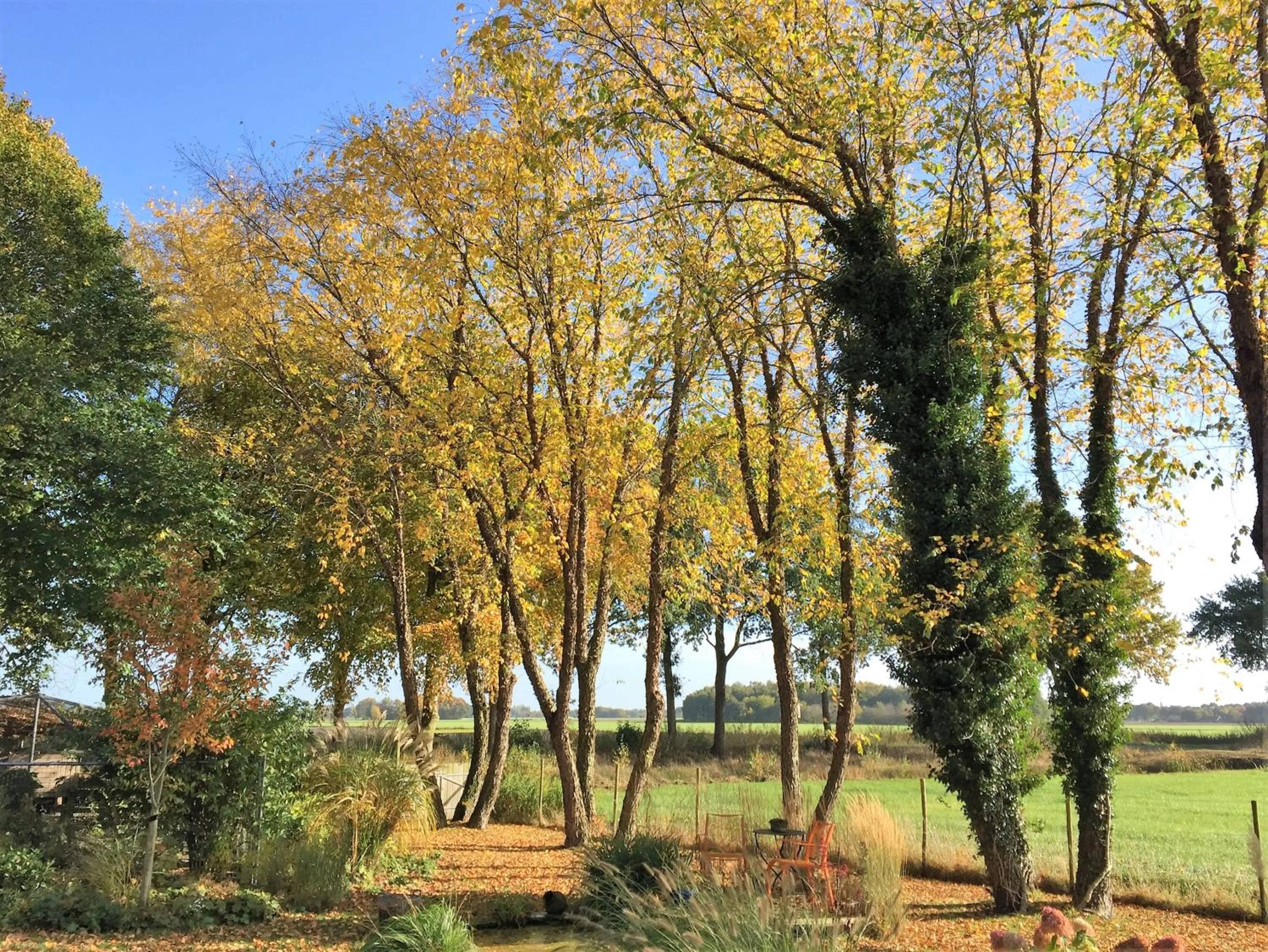 Garden in De Porrepoele