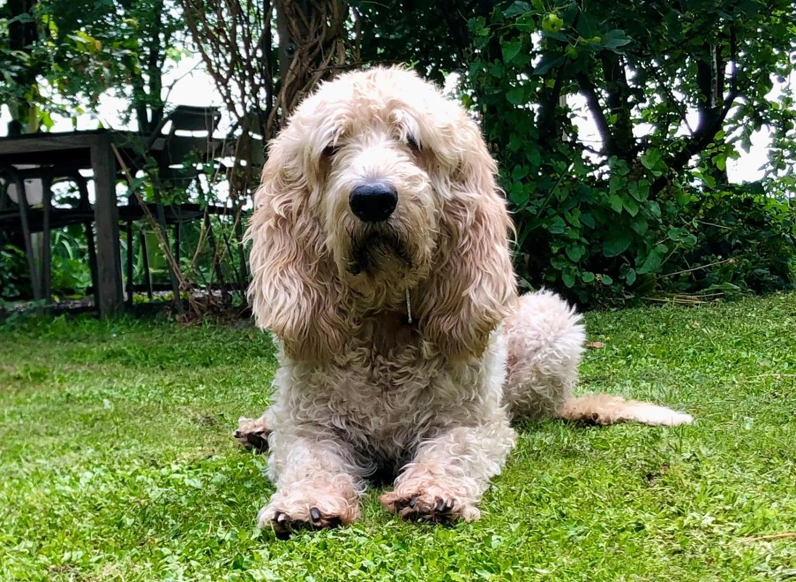 Garden in De Porrepoele