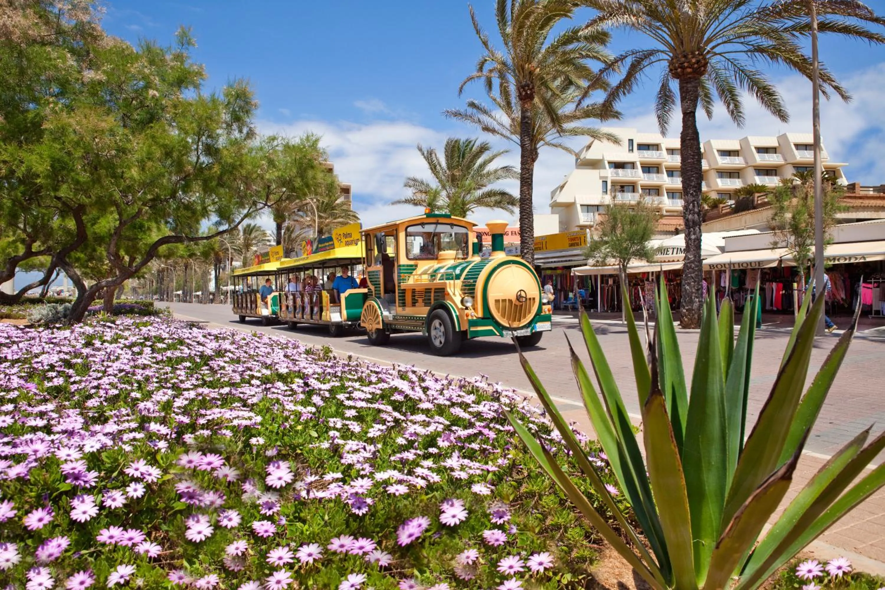 Beach in Hotel Foners