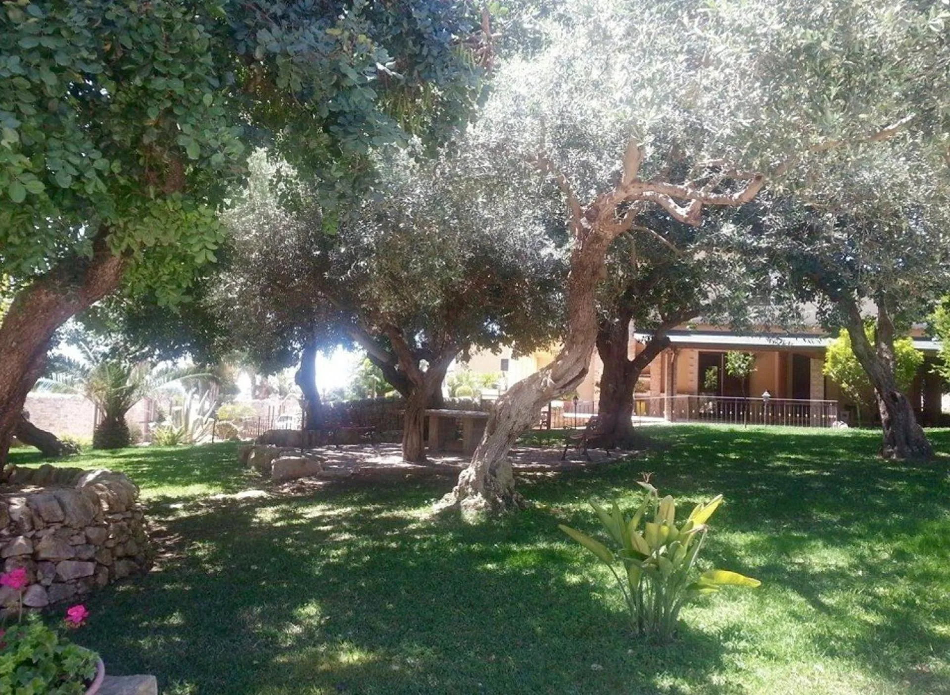 Garden in Villa Giulia - Sicilian Luxury Garden