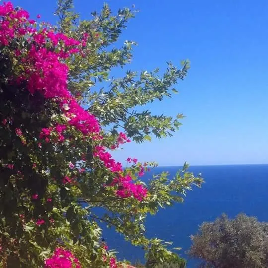 Natural landscape in Delfini