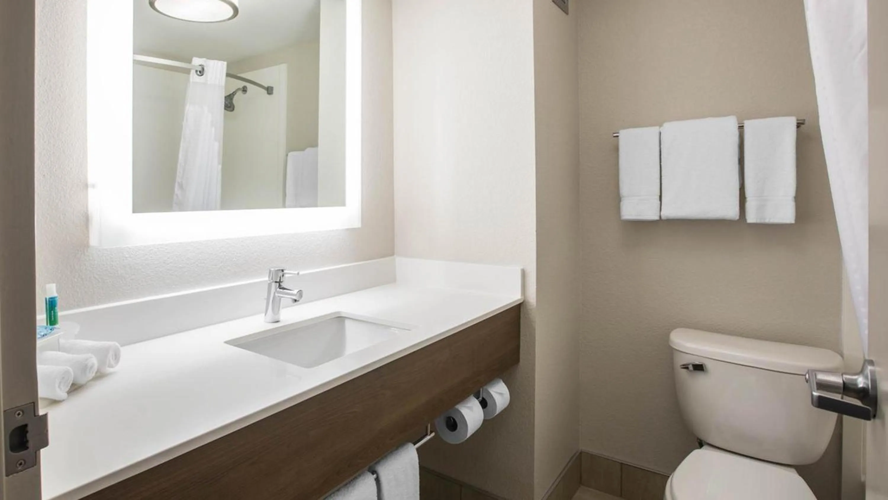 Bathroom in Holiday Inn Express & Suites - Jacksonville W - I295 and I10 by IHG